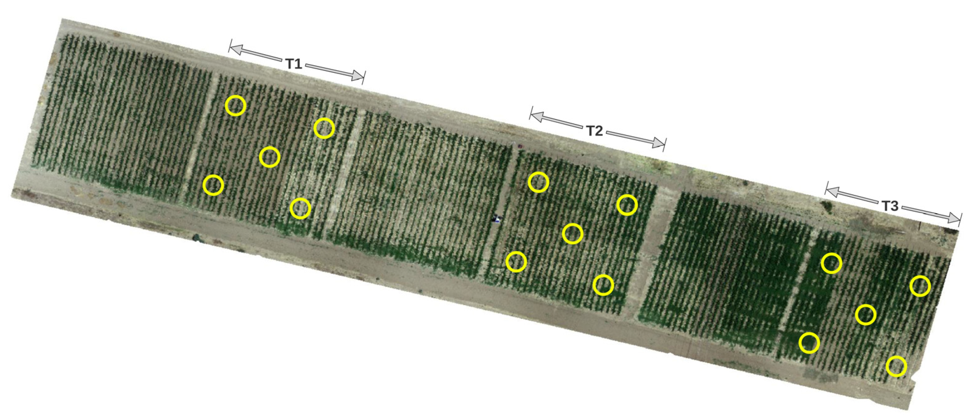 Engproc 56 00157 g001