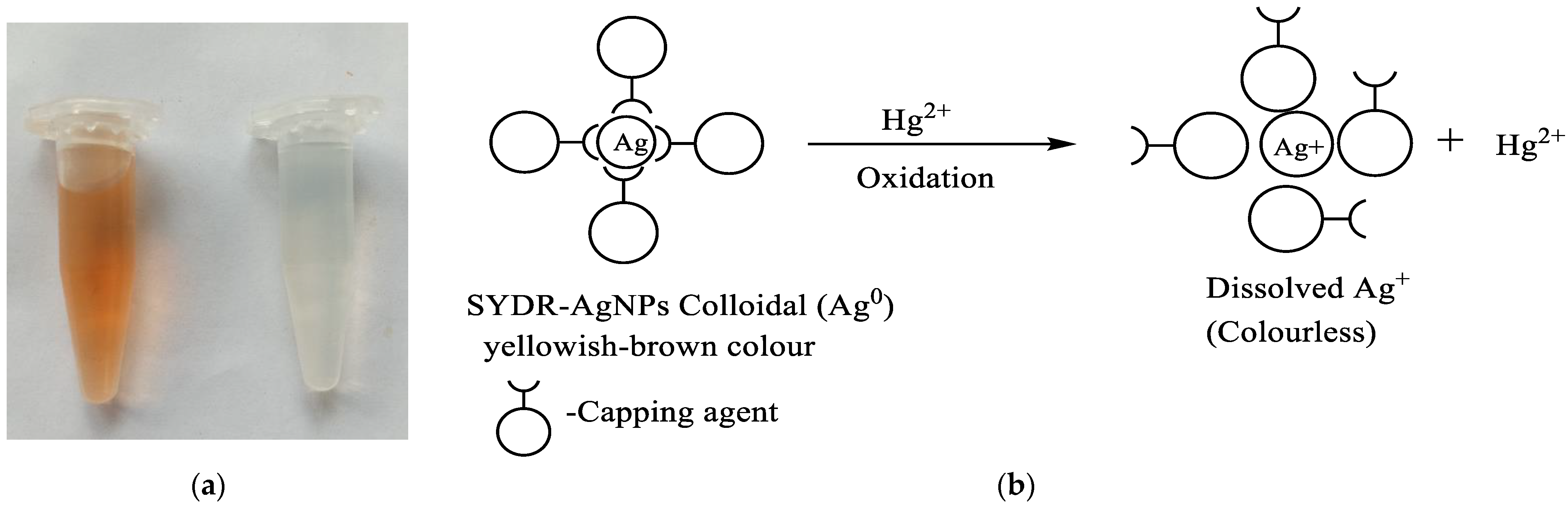 Engproc 56 00182 g002