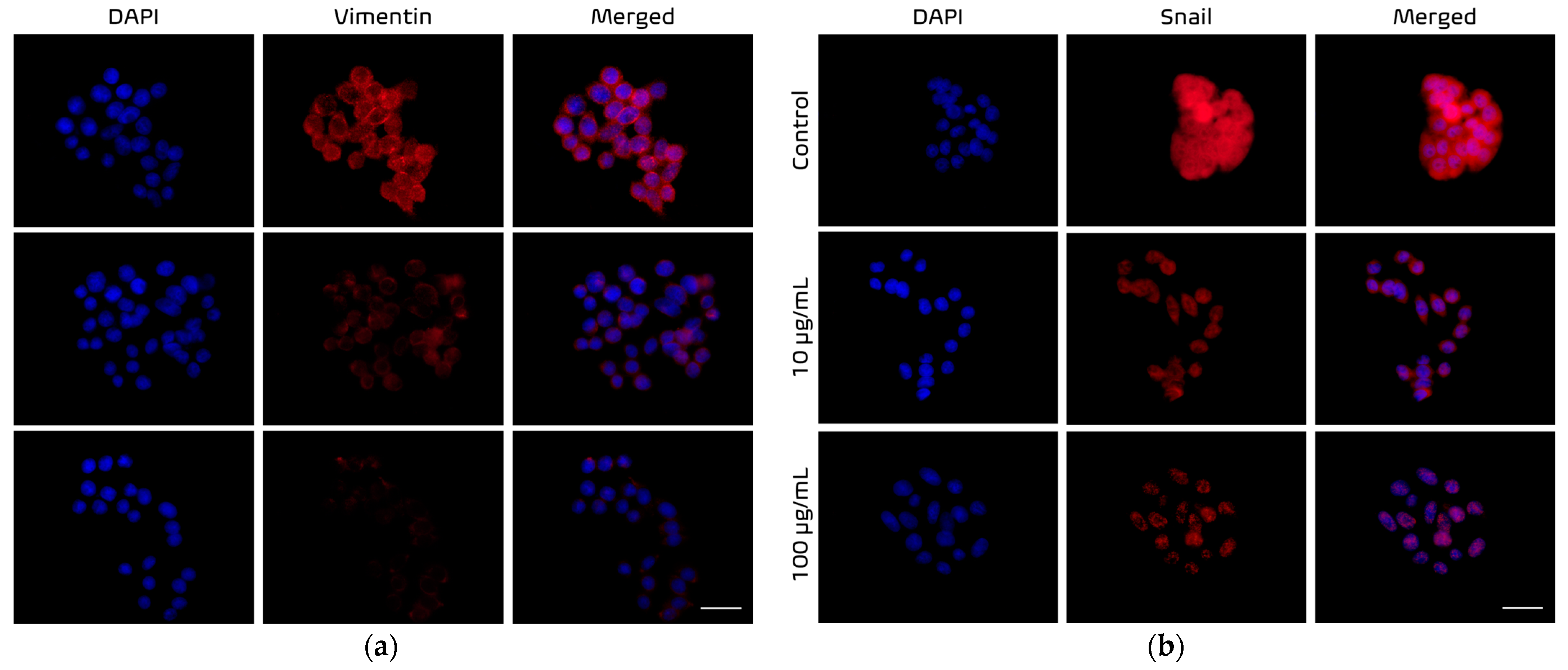 Engproc 56 00186 g003
