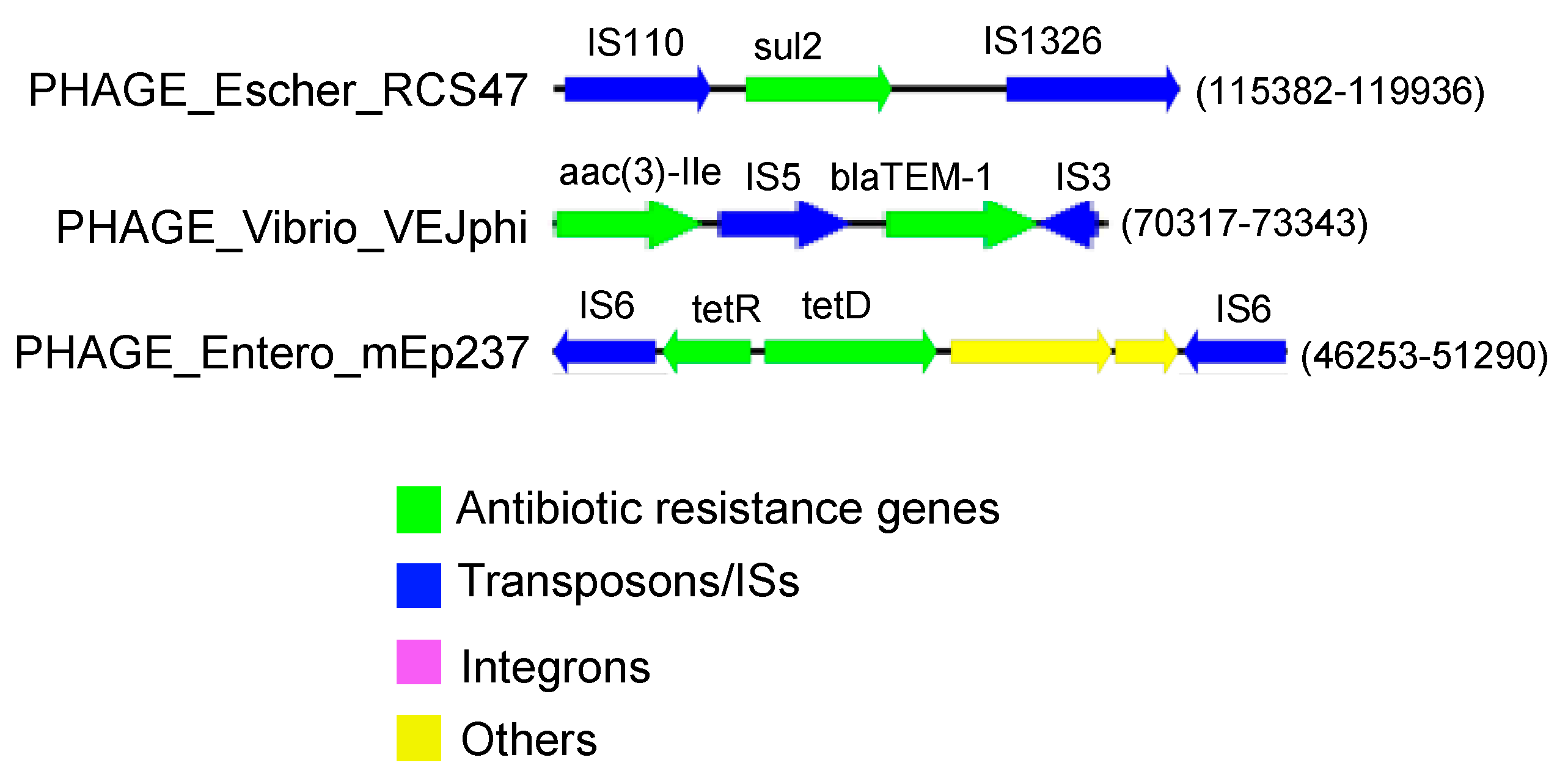 Engproc 56 00189 g003