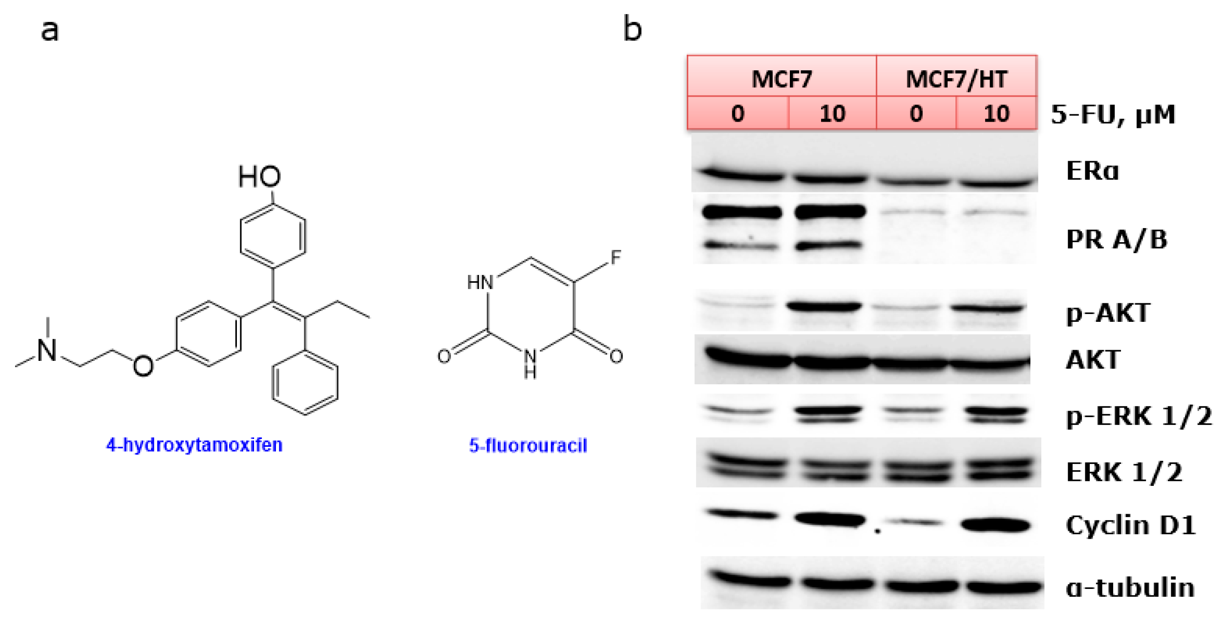 Engproc 56 00192 g001