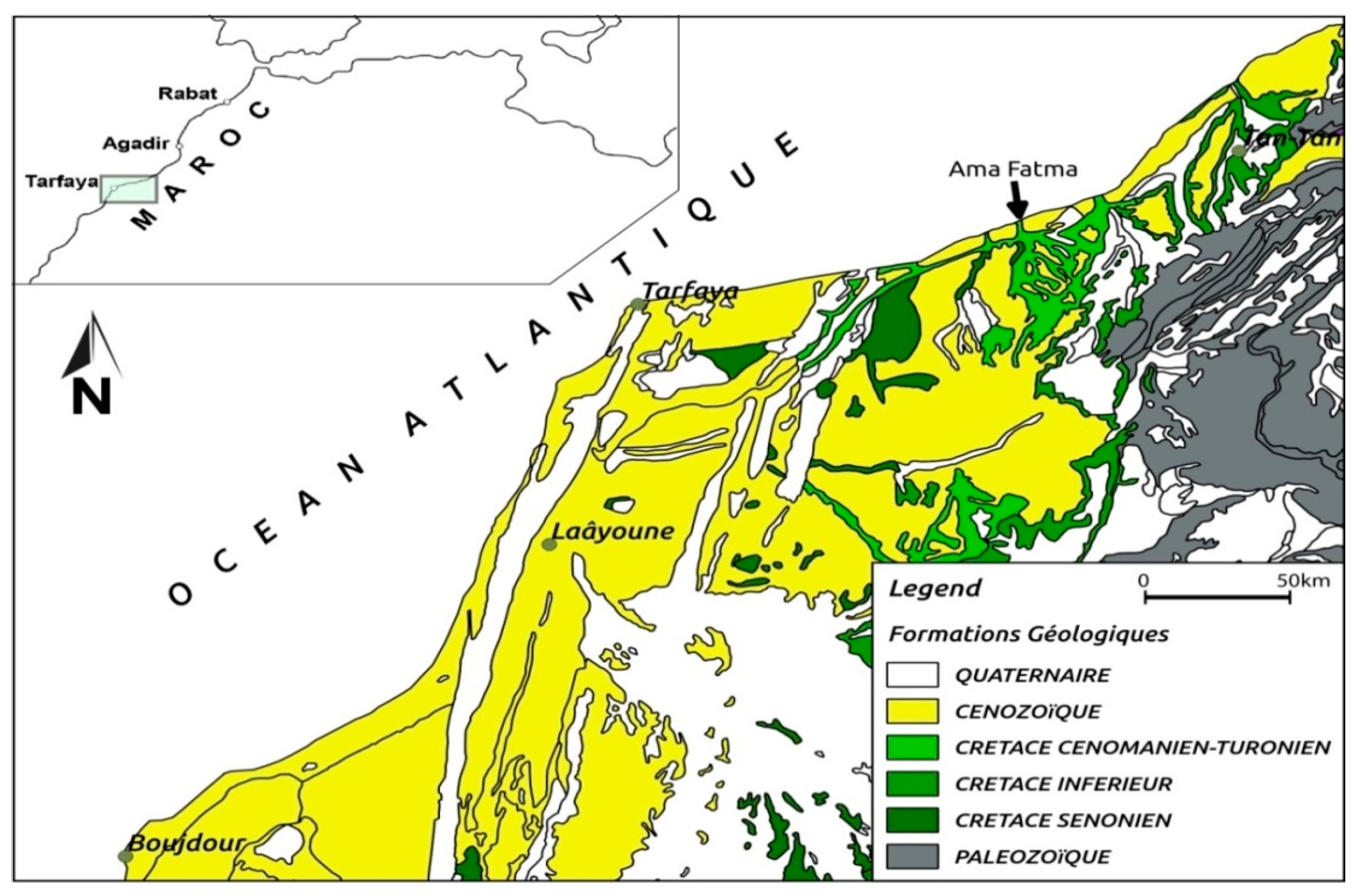 Engproc 56 00229 g001