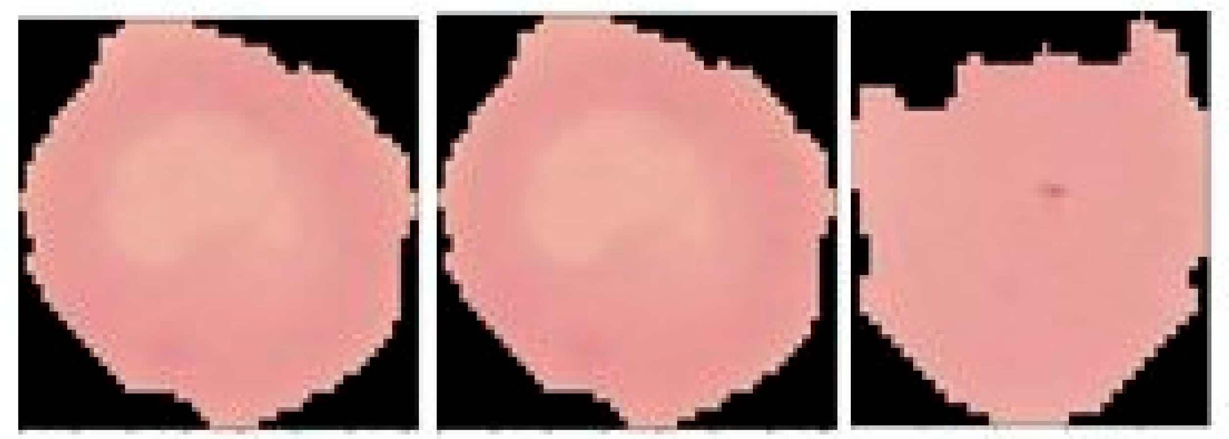 Engproc 56 00232 g001