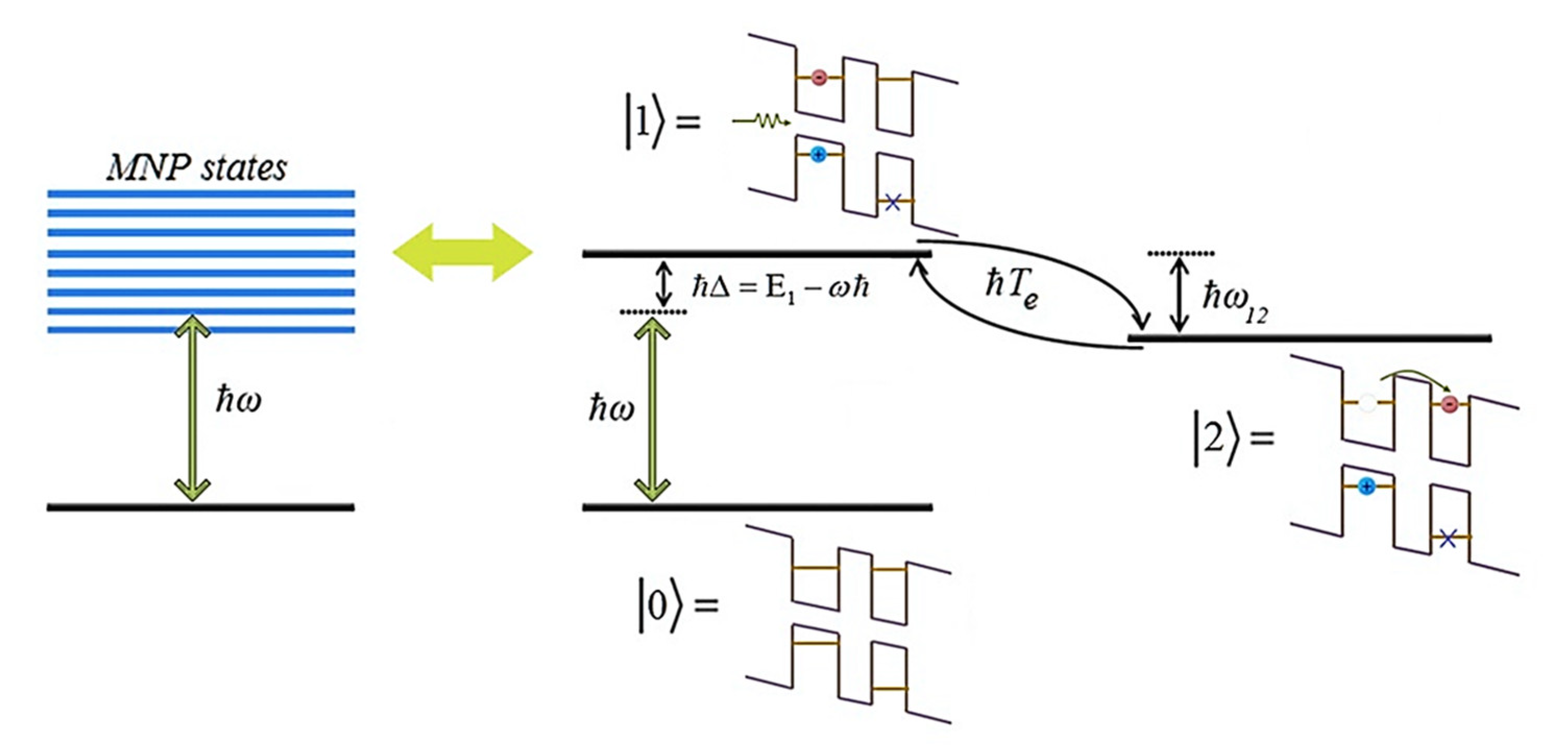 Engproc 56 00244 g001
