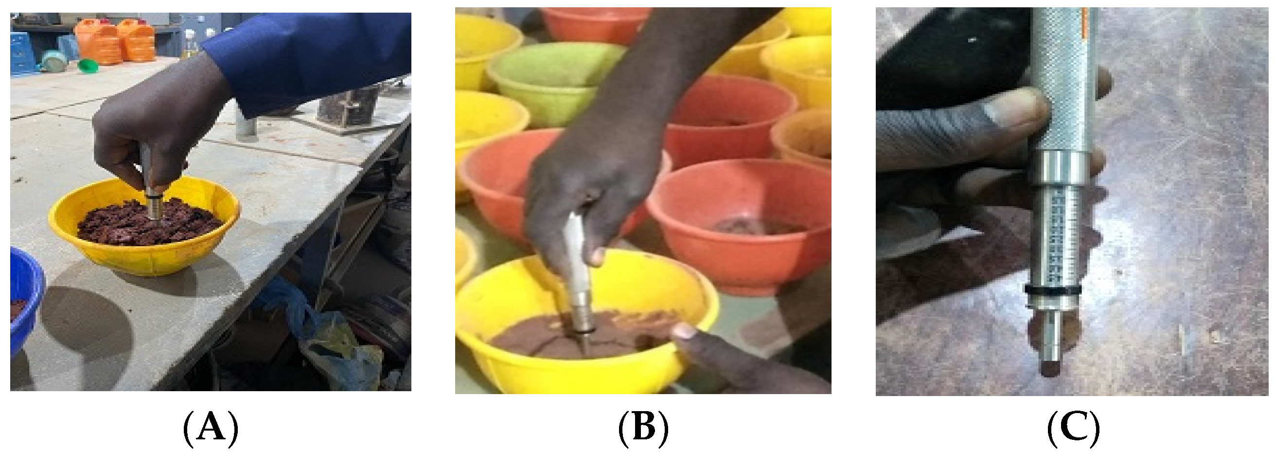 Engproc 56 00279 g001