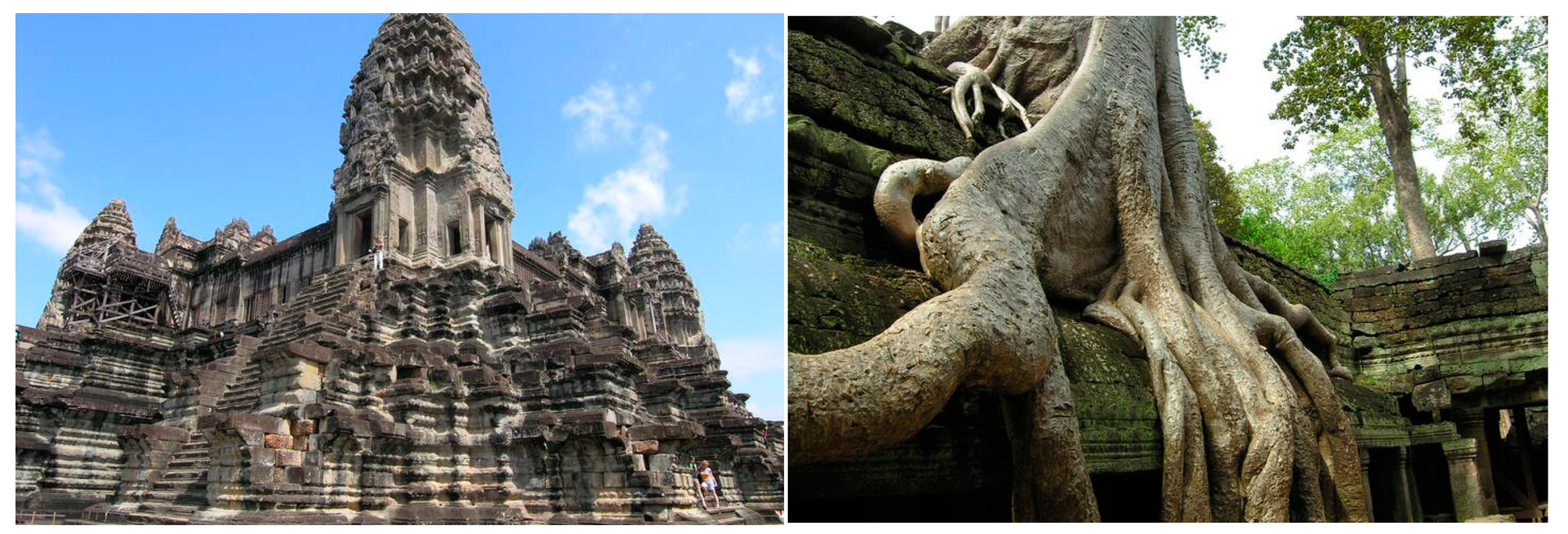 Engproc 56 00290 g002