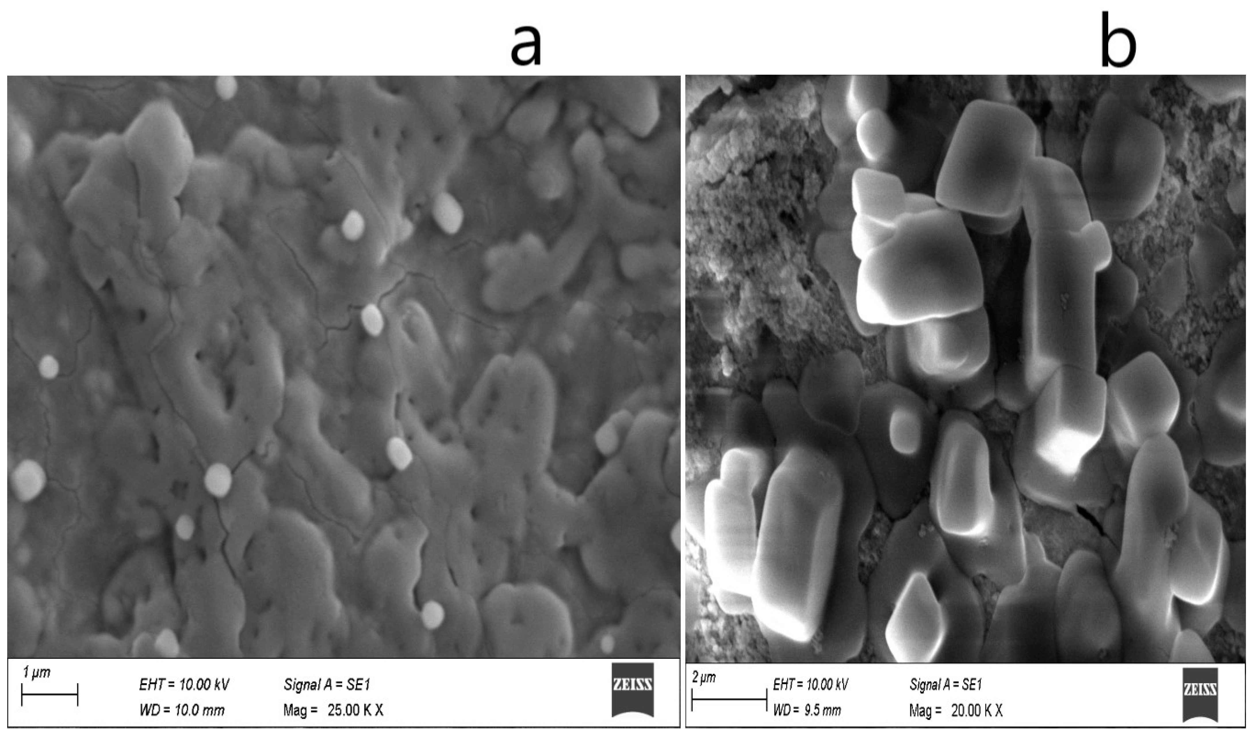 Engproc 56 00294 g004