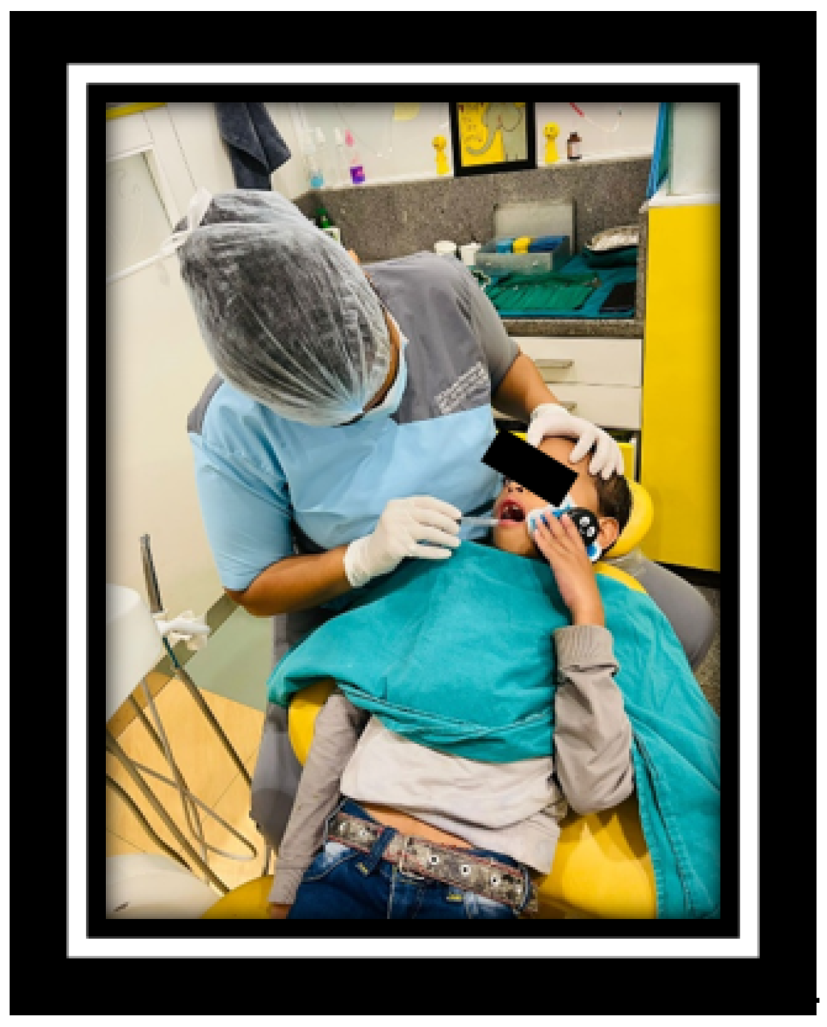 Engproc 56 00299 g002