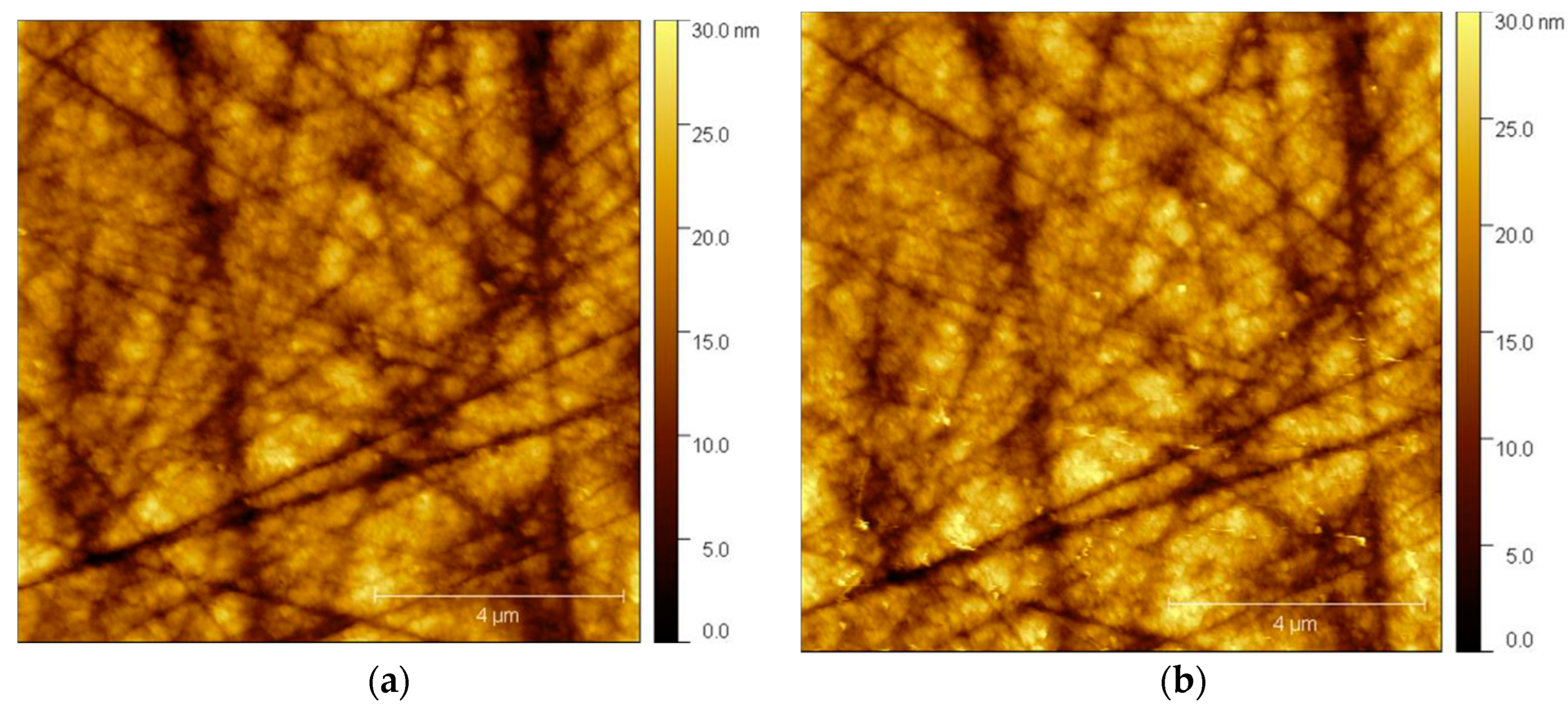 Engproc 56 00310 g004