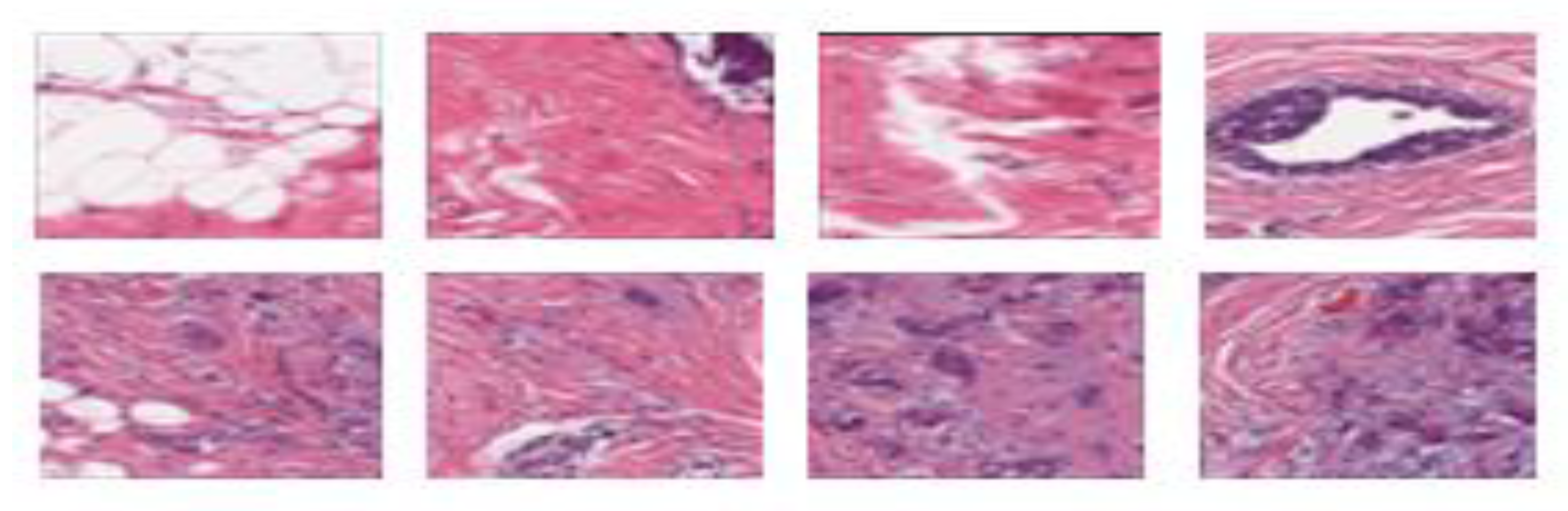 Engproc 56 00313 g002