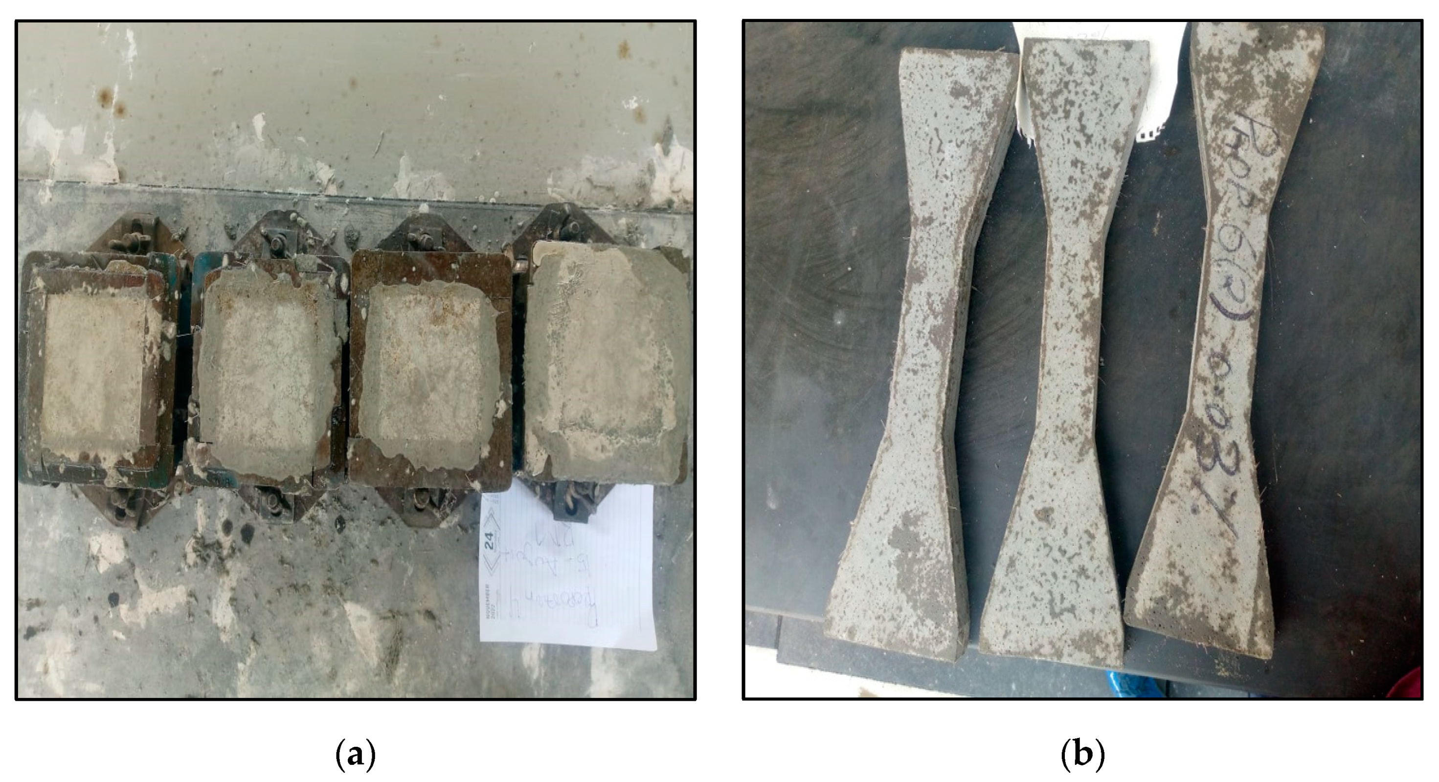 Engproc 56 00335 g001