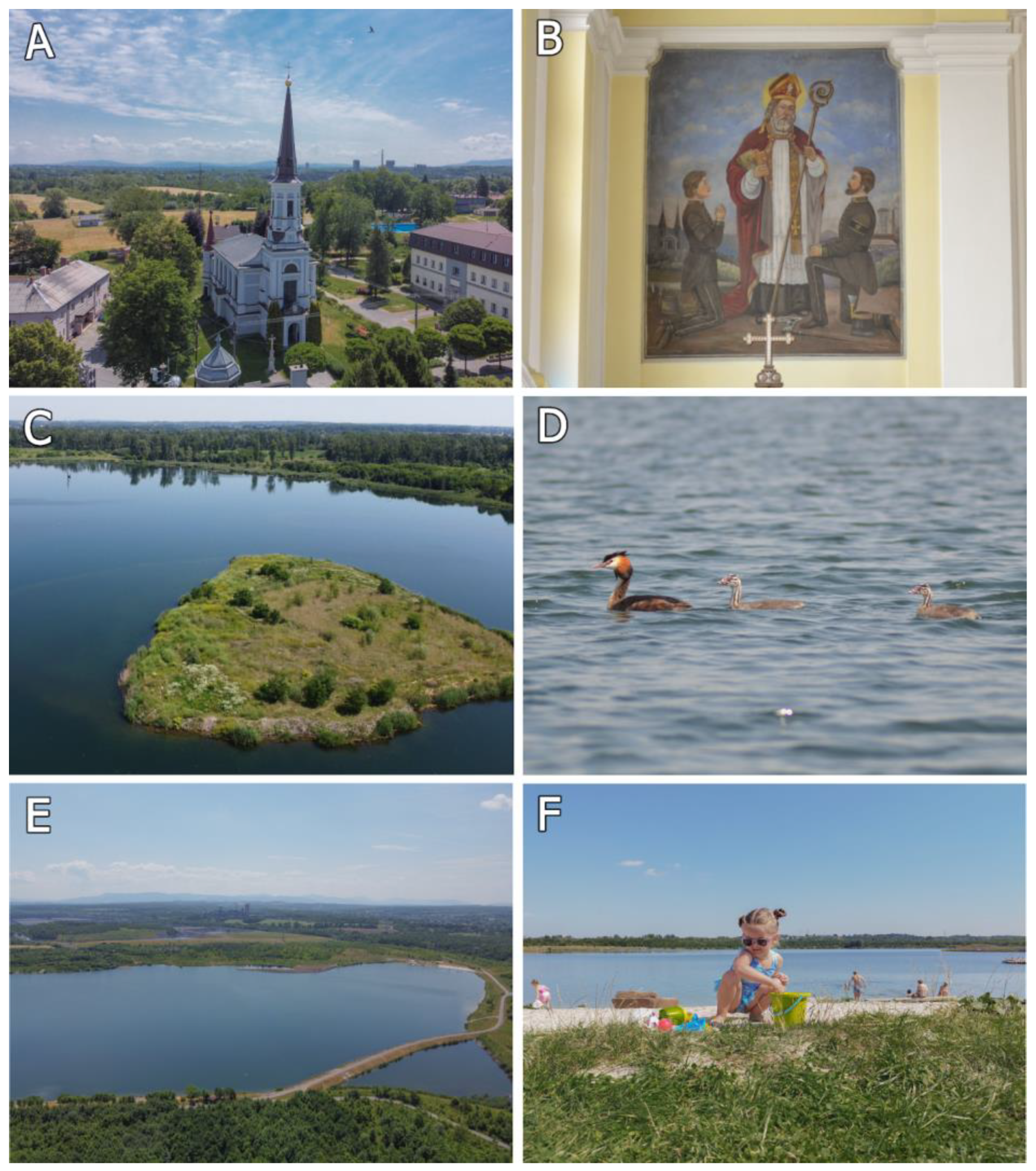 Engproc 57 00015 g002