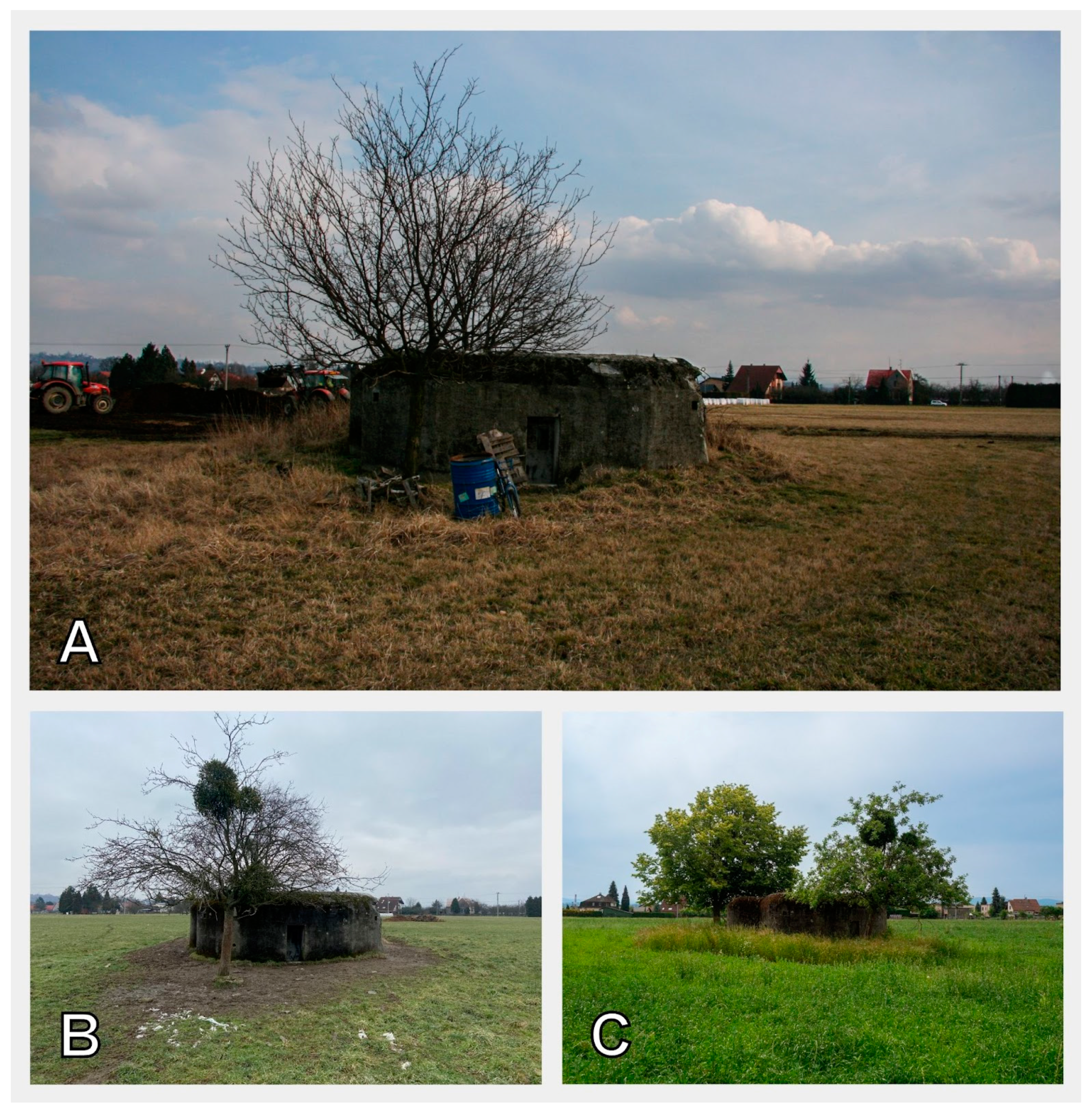 Engproc 57 00018 g0a1