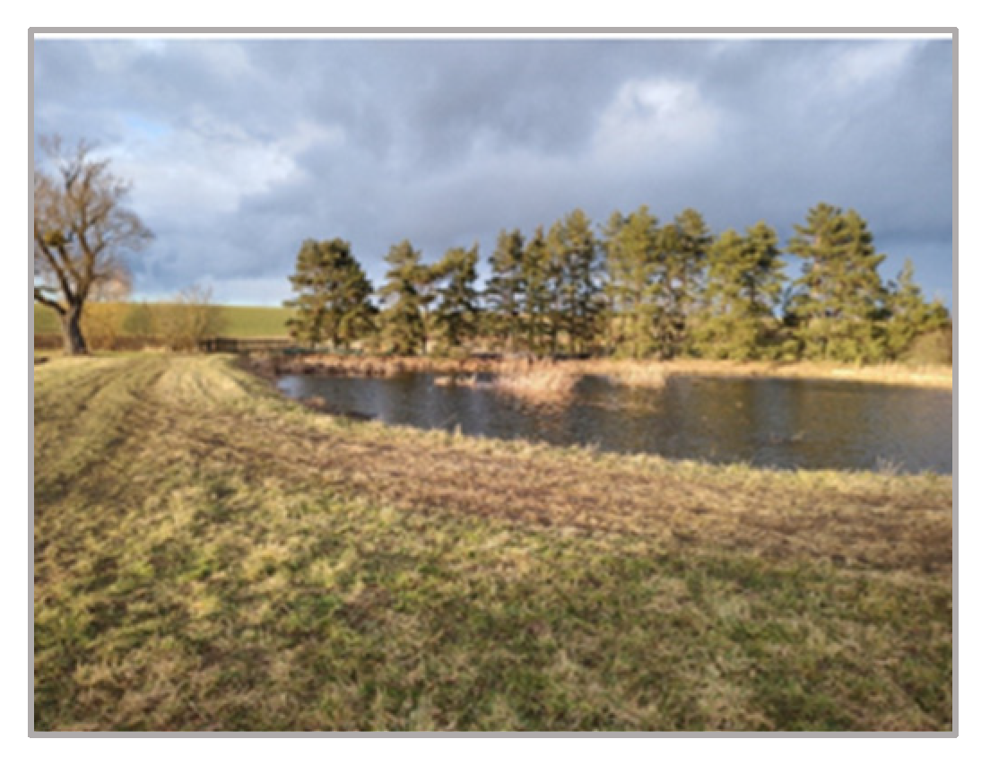 Engproc 57 00019 g004