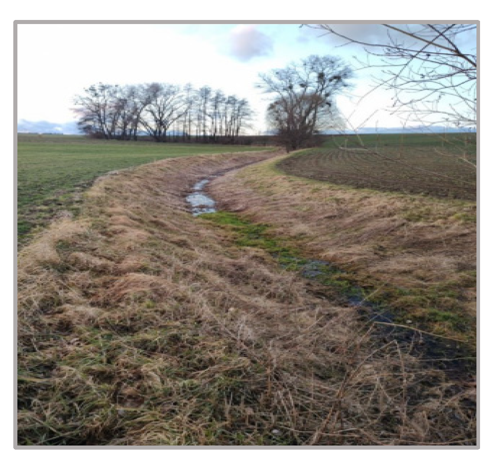 Engproc 57 00019 g008