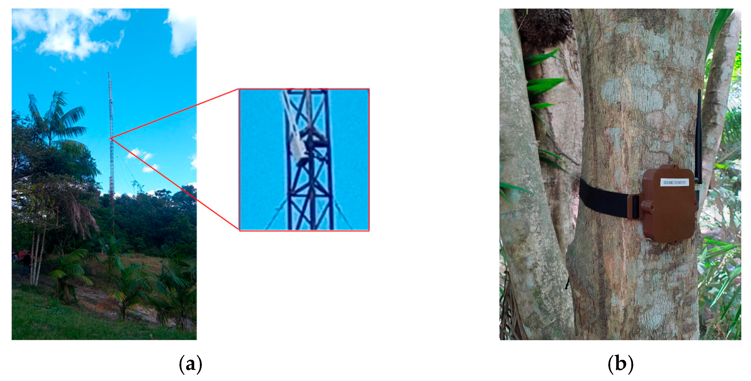 Engproc 58 00021 g002