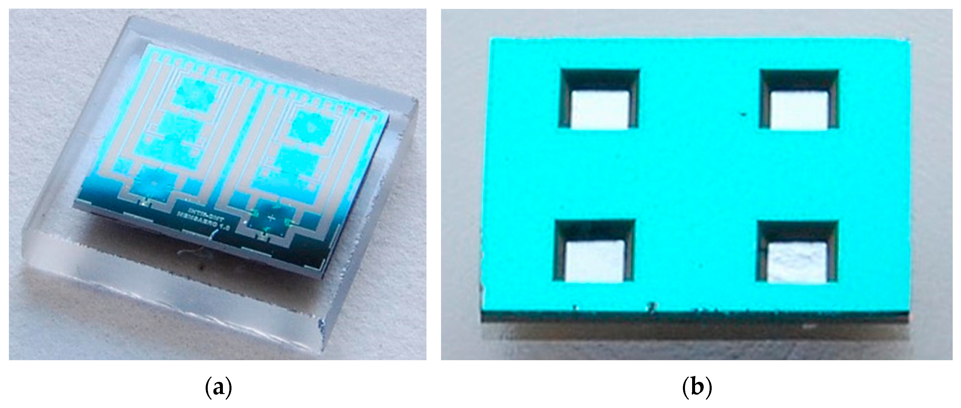 Engproc 58 00052 g003