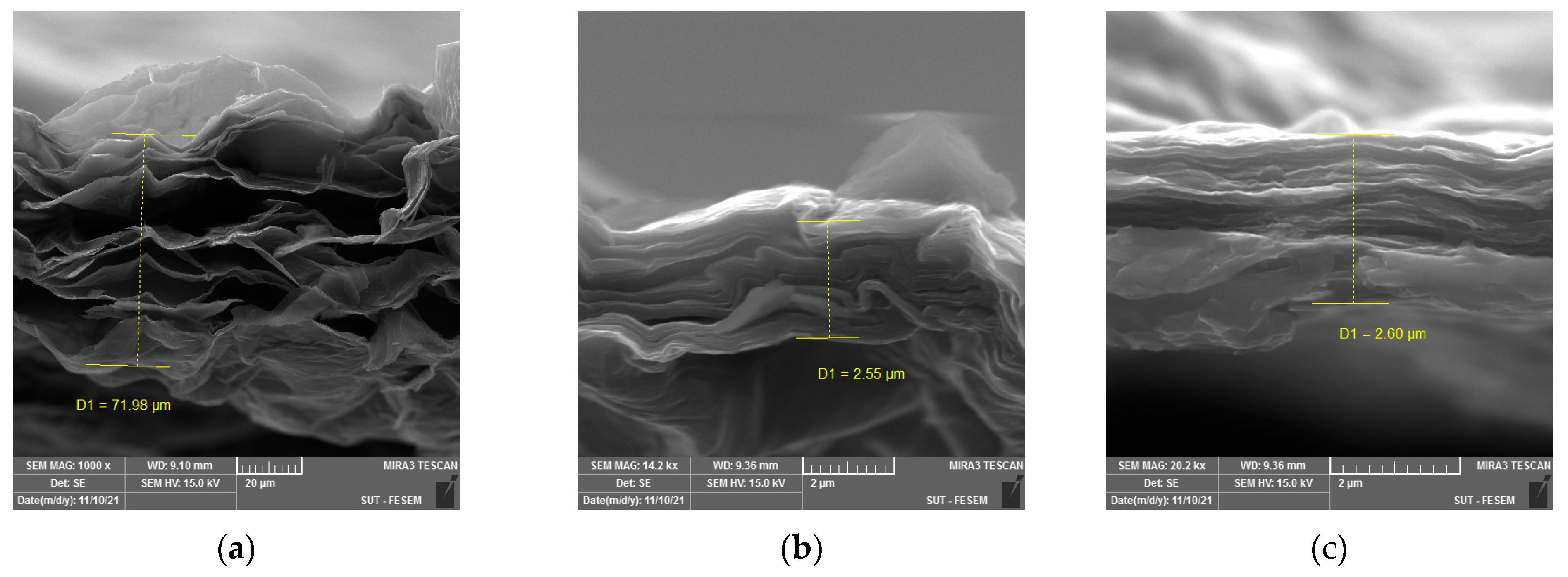 Engproc 58 00068 g001