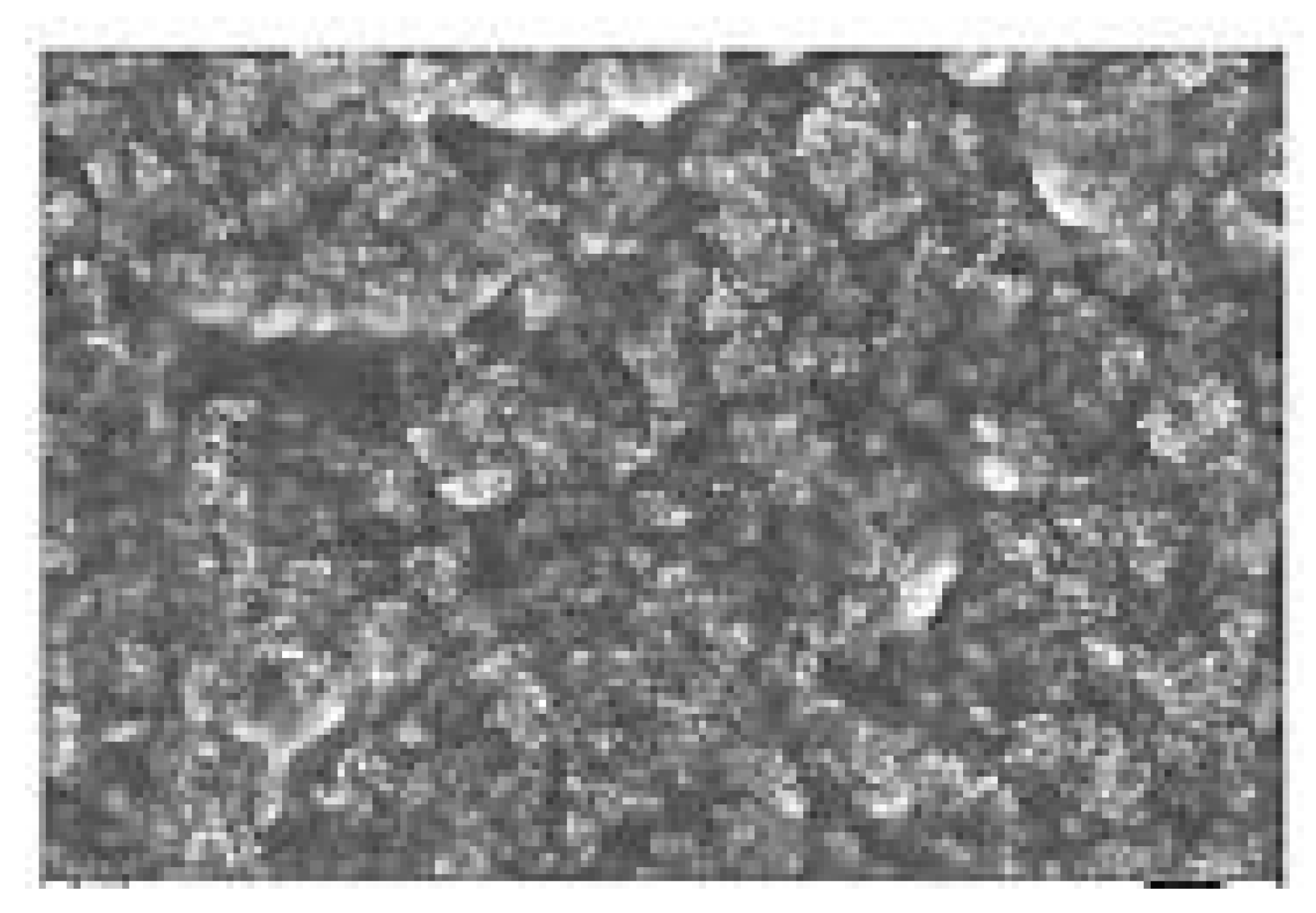 Engproc 58 00074 g004