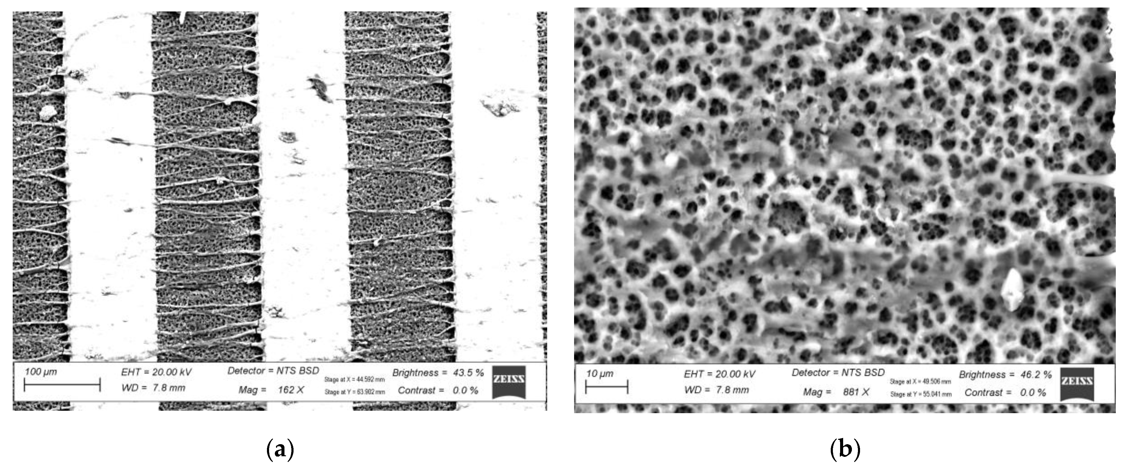 Engproc 58 00100 g001