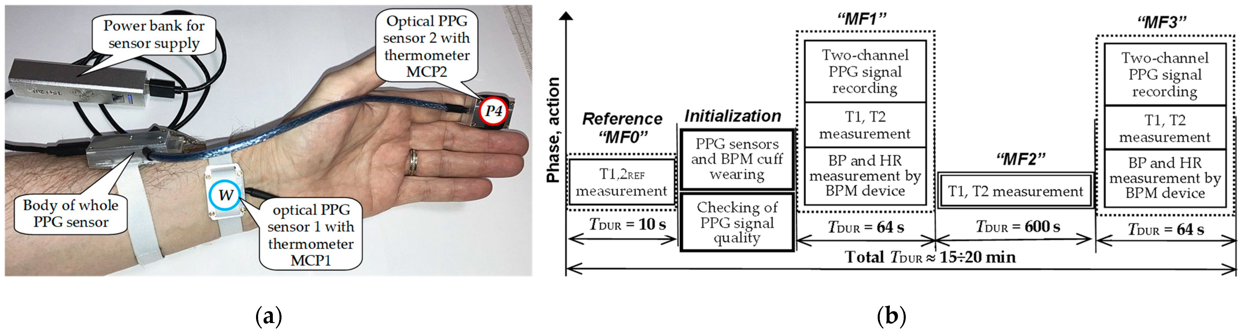 Engproc 58 00108 g002