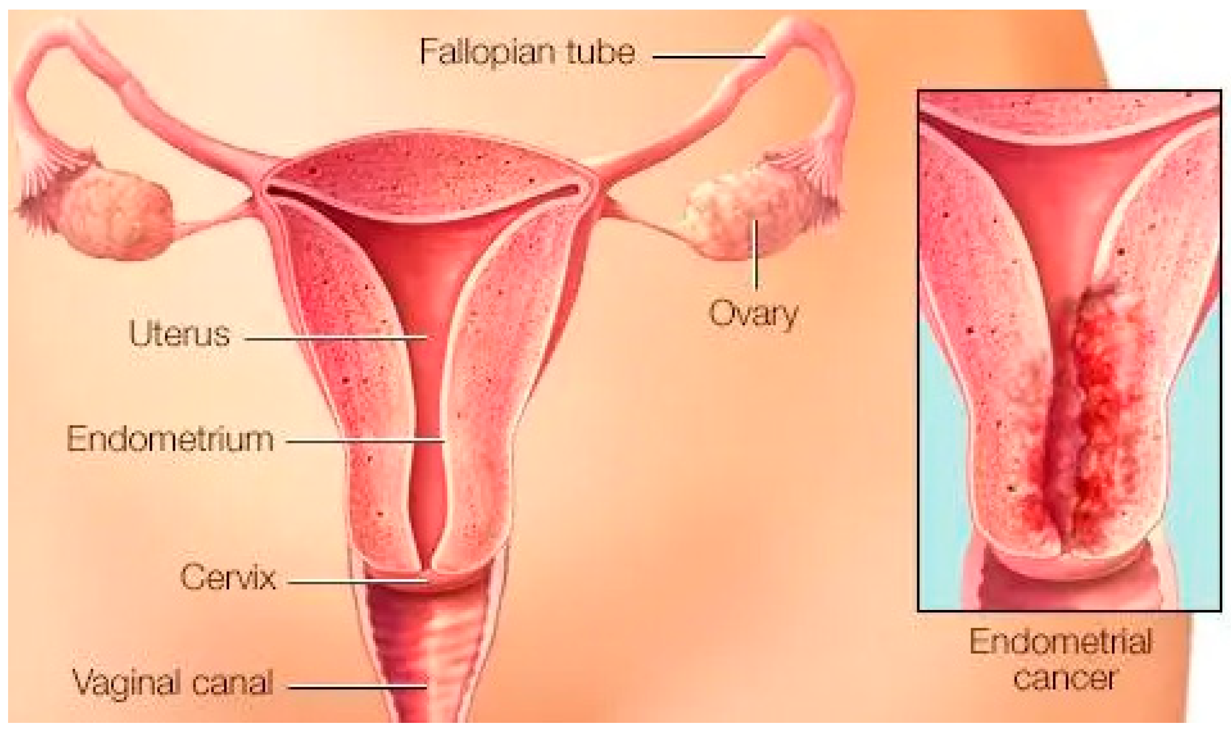 Engproc 58 00130 g001