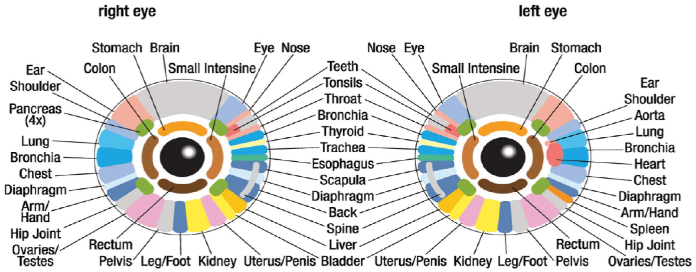 Engproc 59 00009 g001