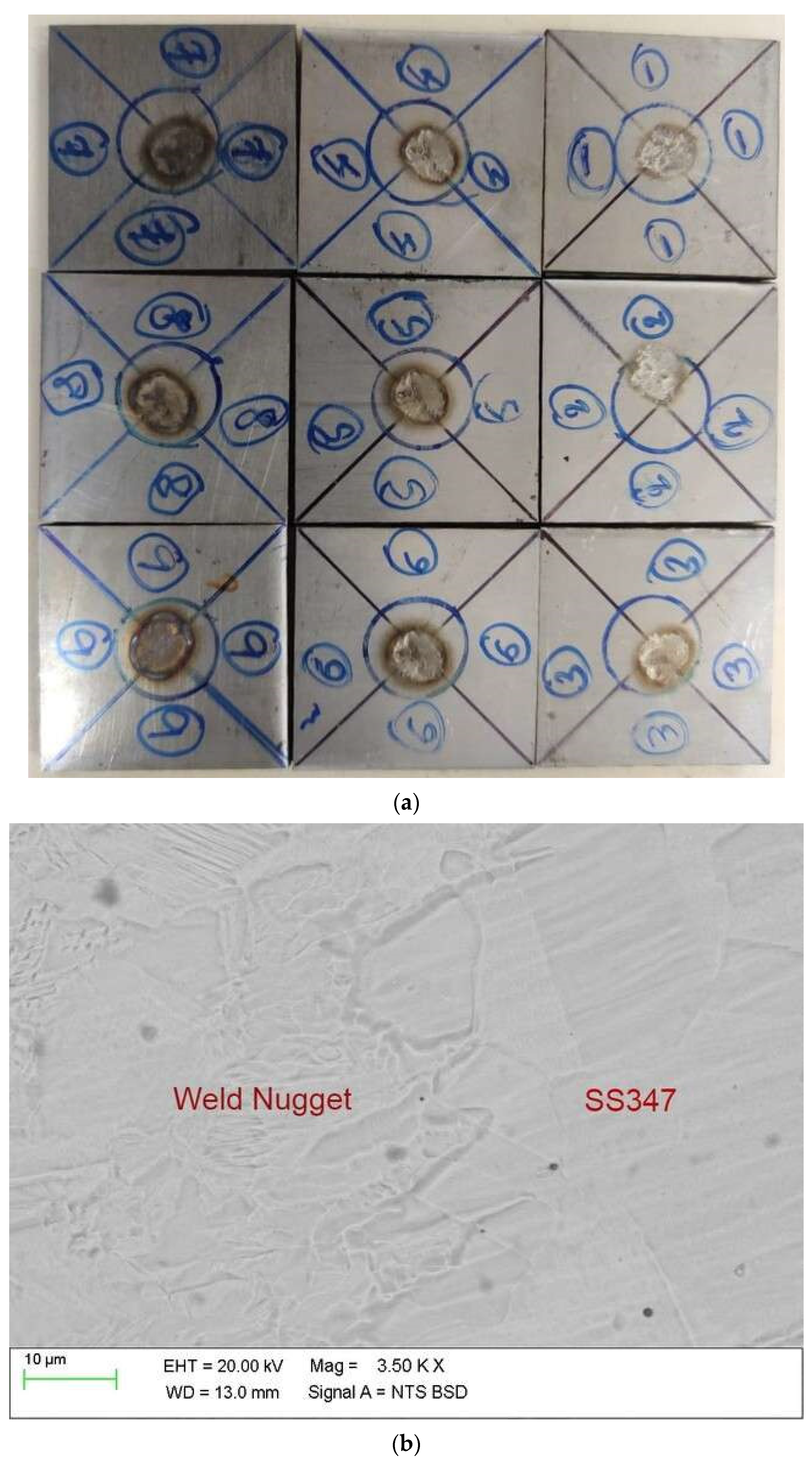 Engproc 59 00027 g001a