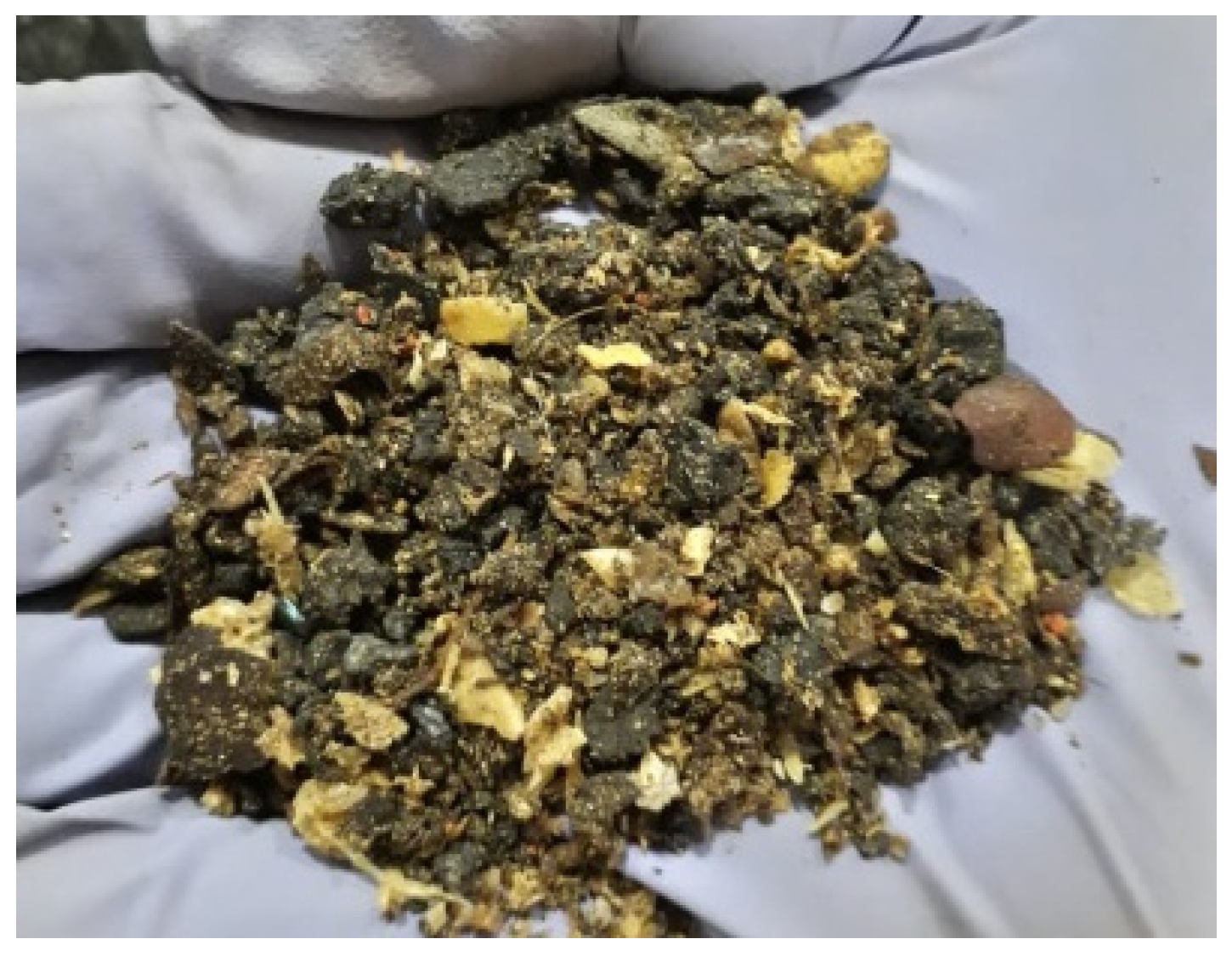 Engproc 59 00038 g002