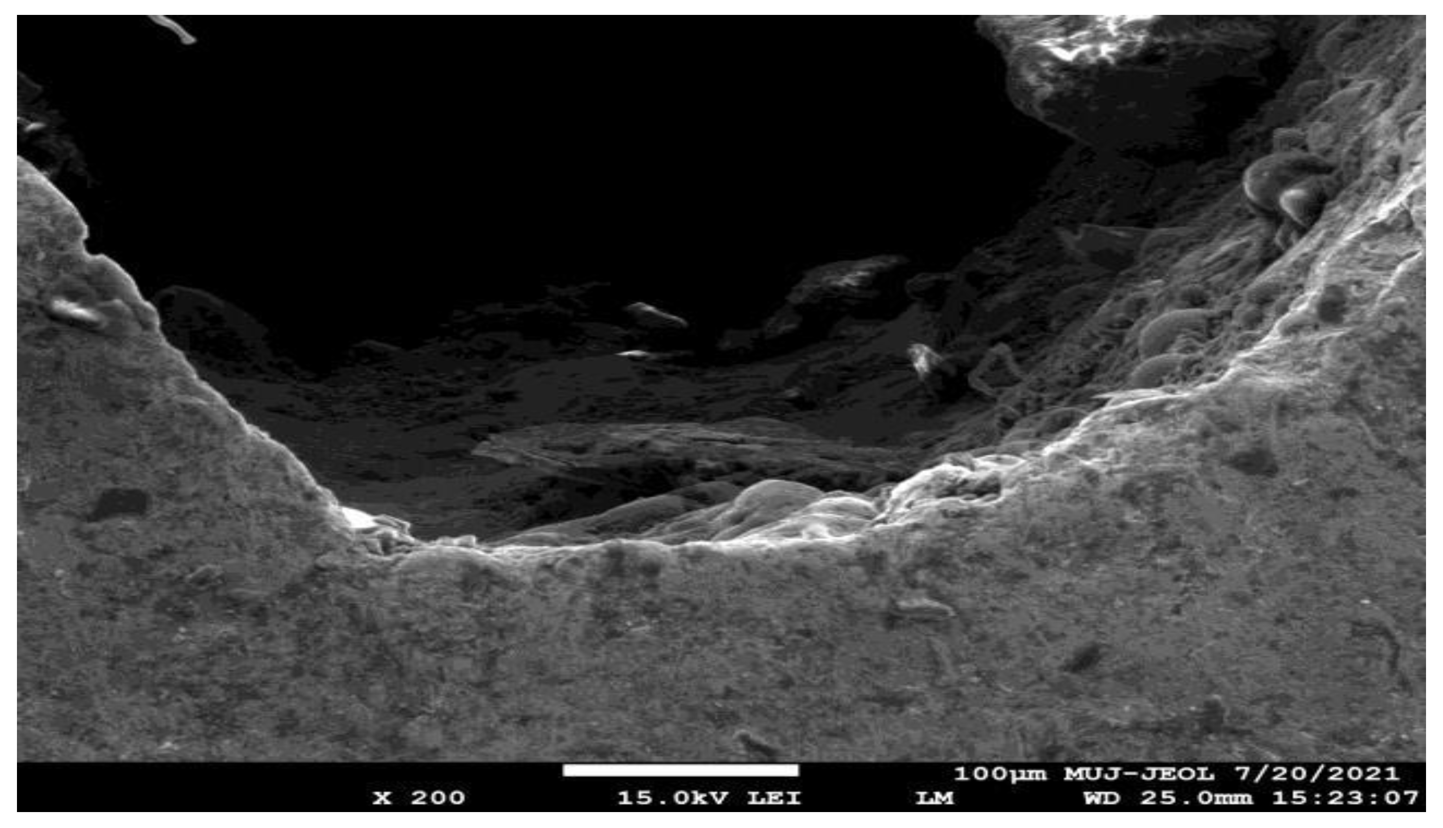 Engproc 59 00052 g004