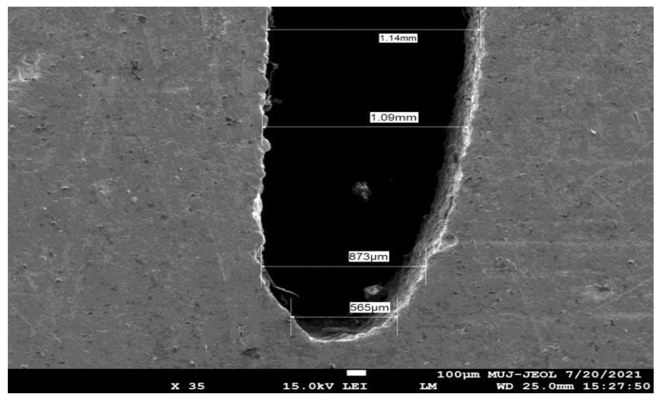 Engproc 59 00052 g005