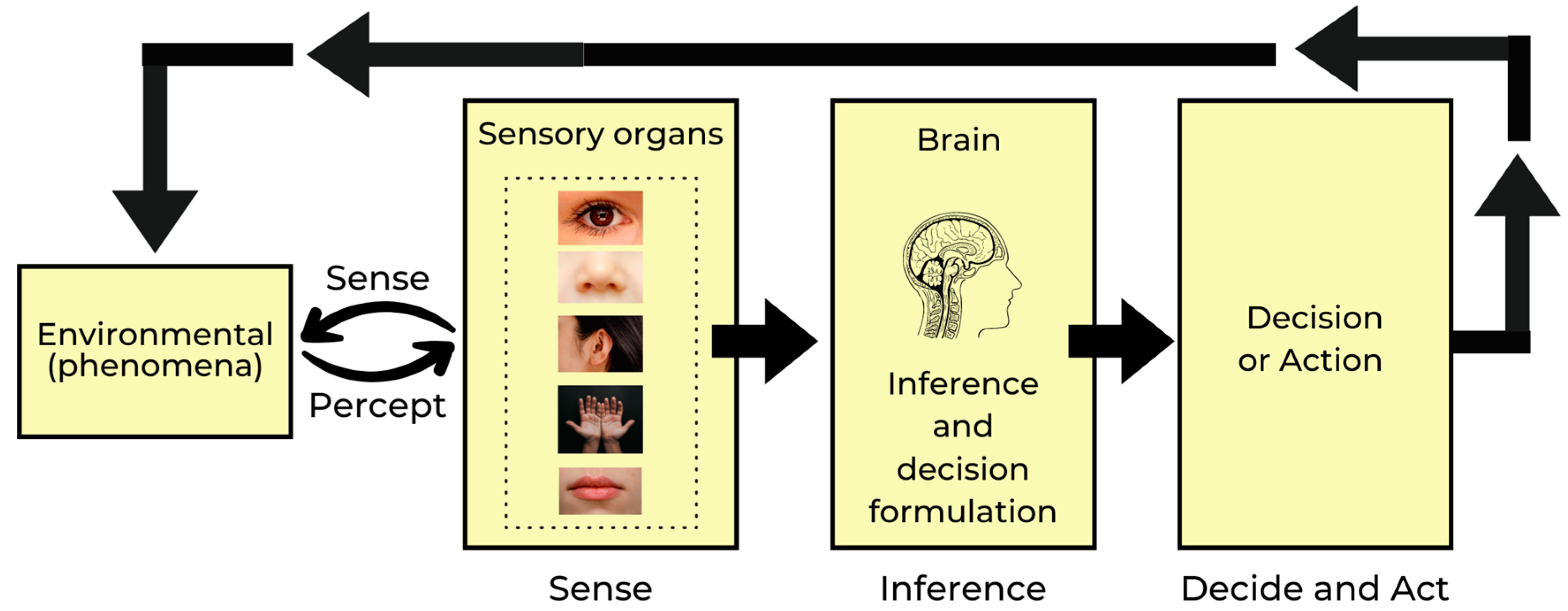 Engproc 59 00102 g001 Engproc 59 00102 g001