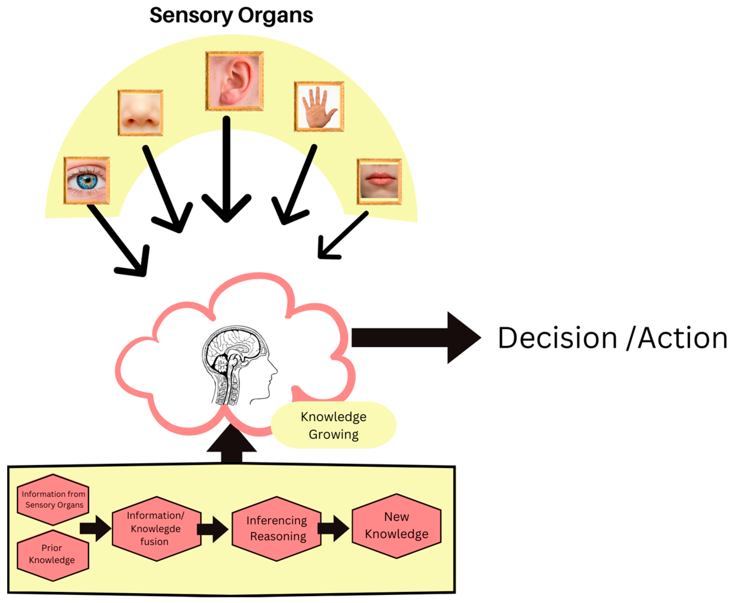 Engproc 59 00102 g002 Engproc 59 00102 g002