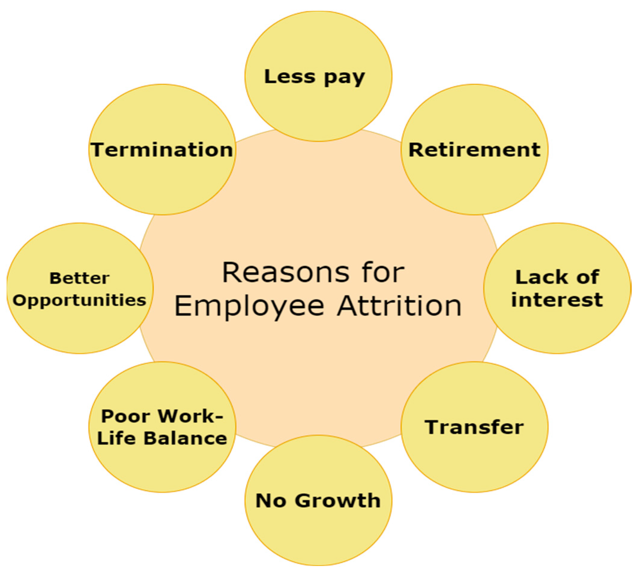 Employee Turnover Causes
