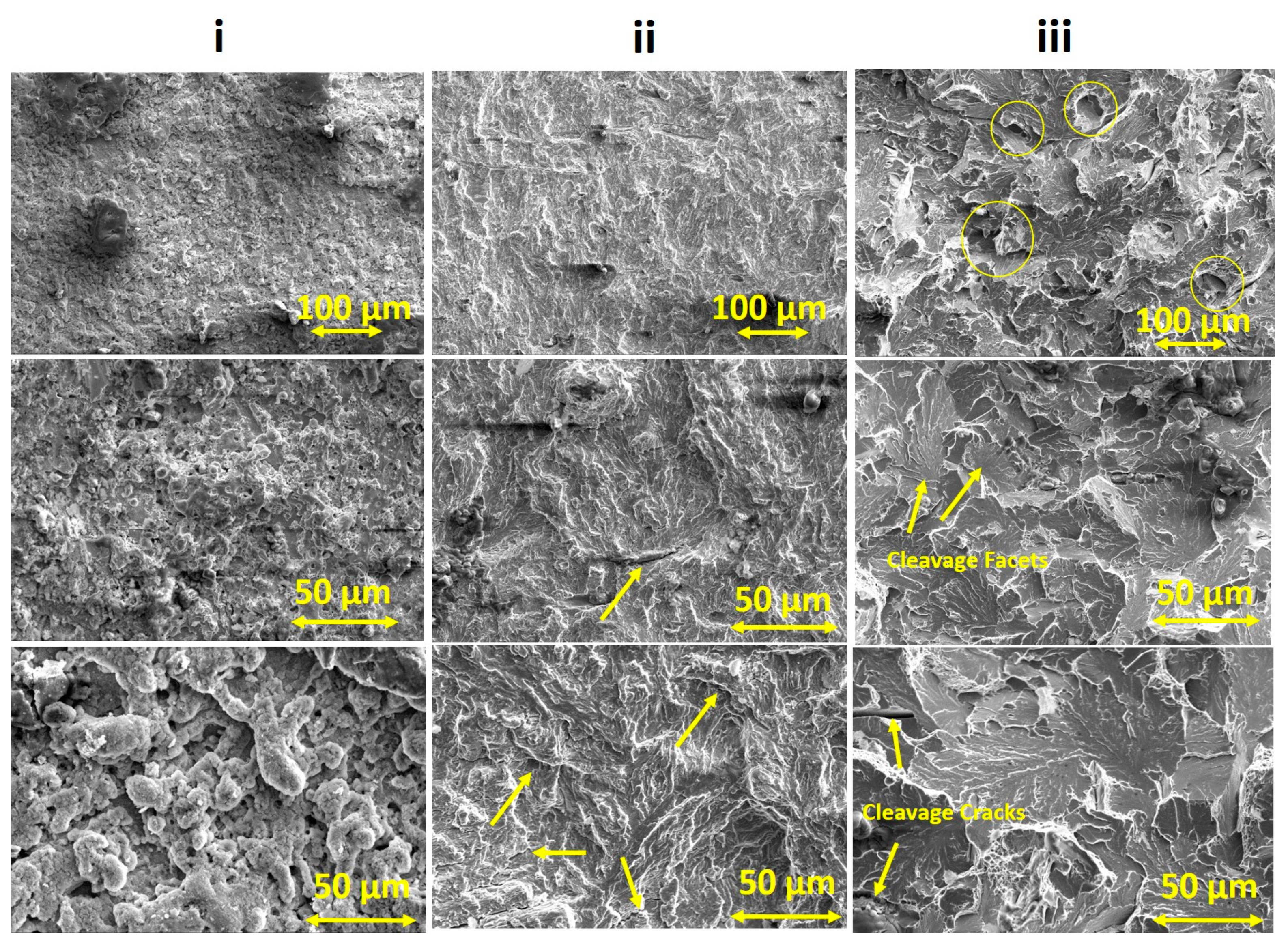 Engproc 59 00119 g008