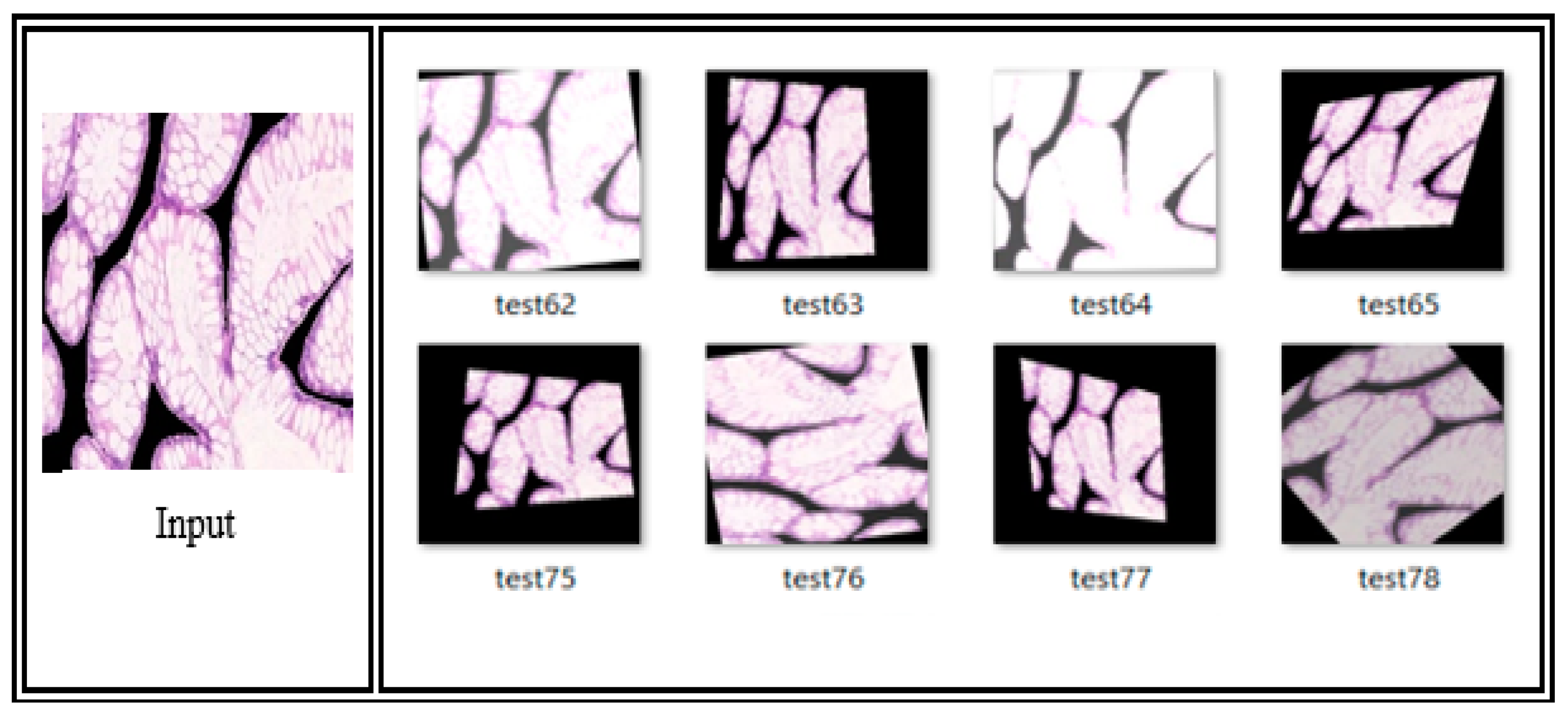 Engproc 59 00121 g002