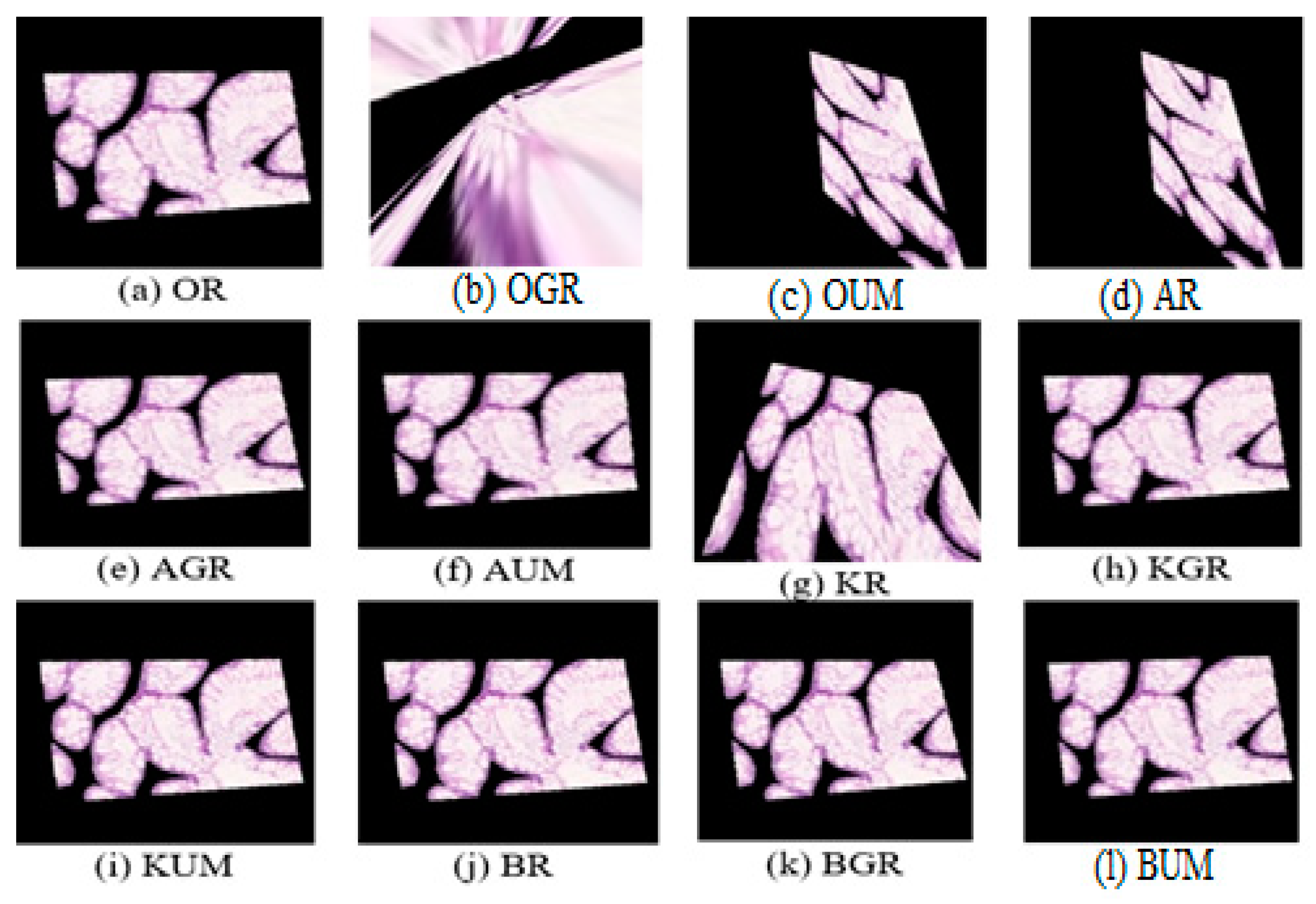 Engproc 59 00121 g004