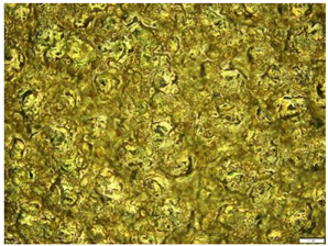 Engproc 59 00135 i003