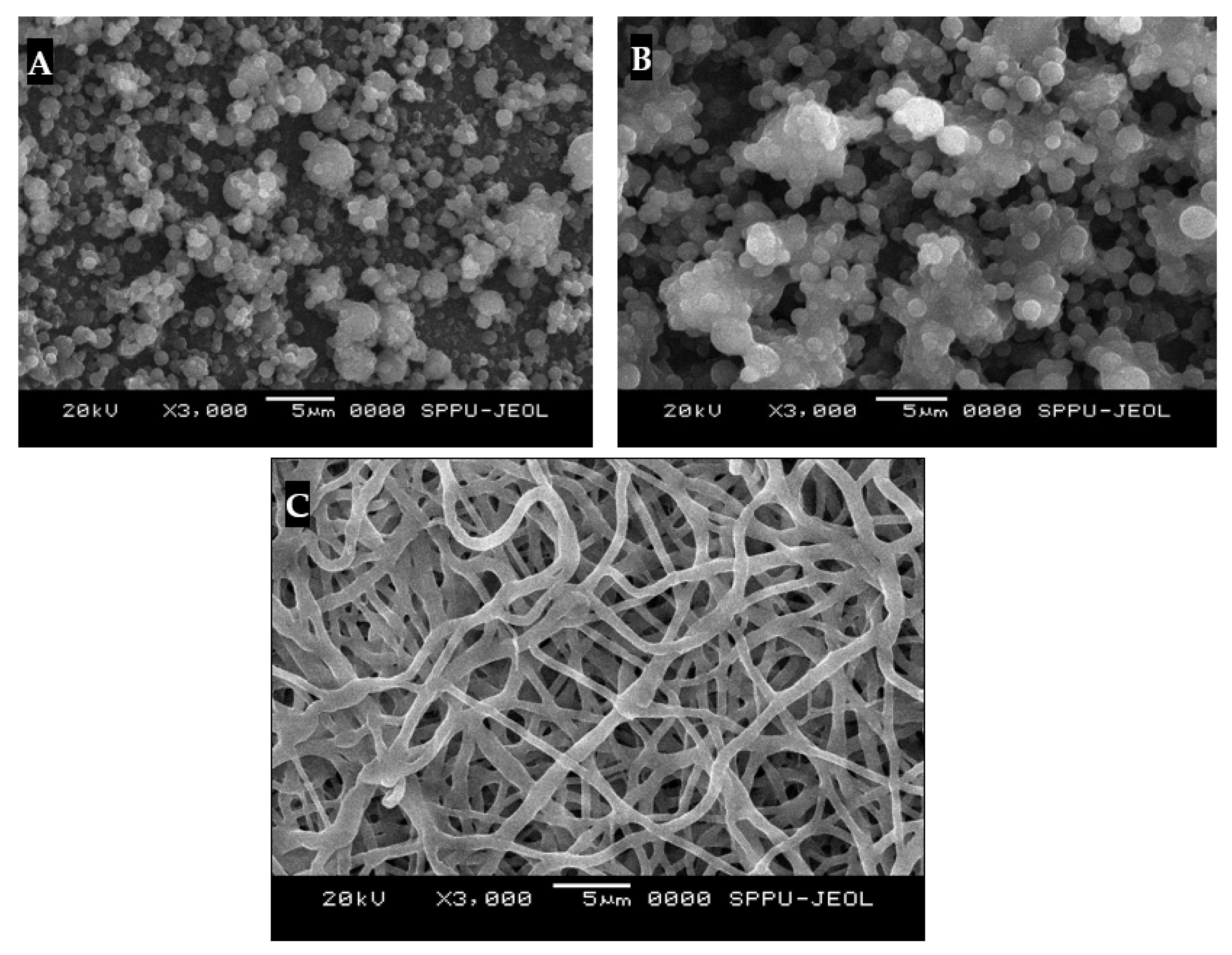 Engproc 59 00177 g002