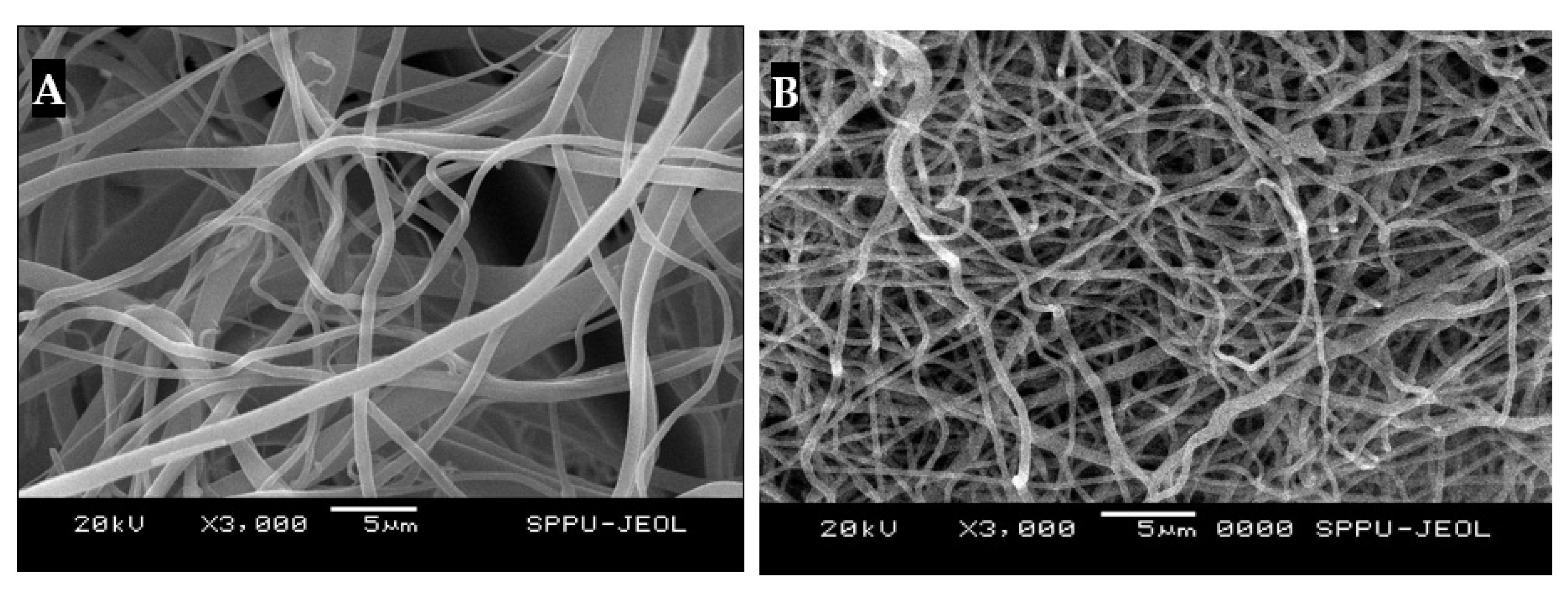 Engproc 59 00177 g003