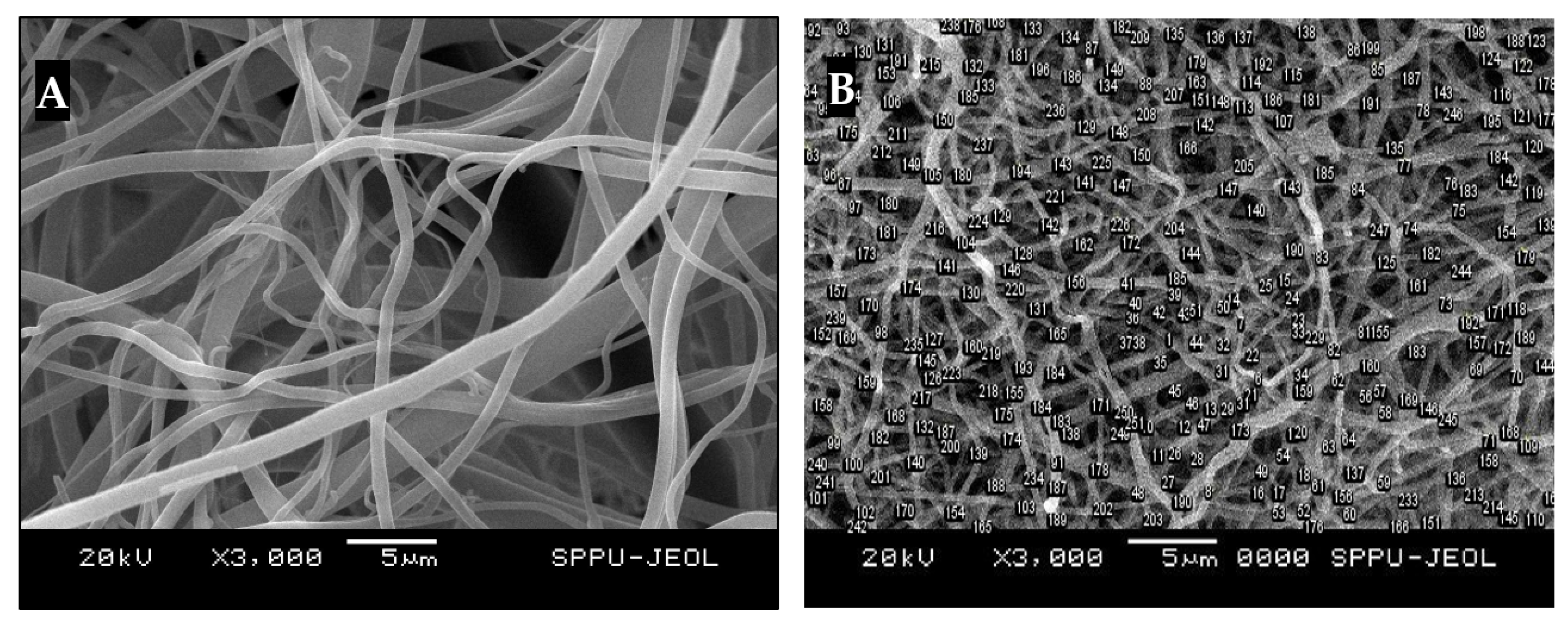 Engproc 59 00177 g004