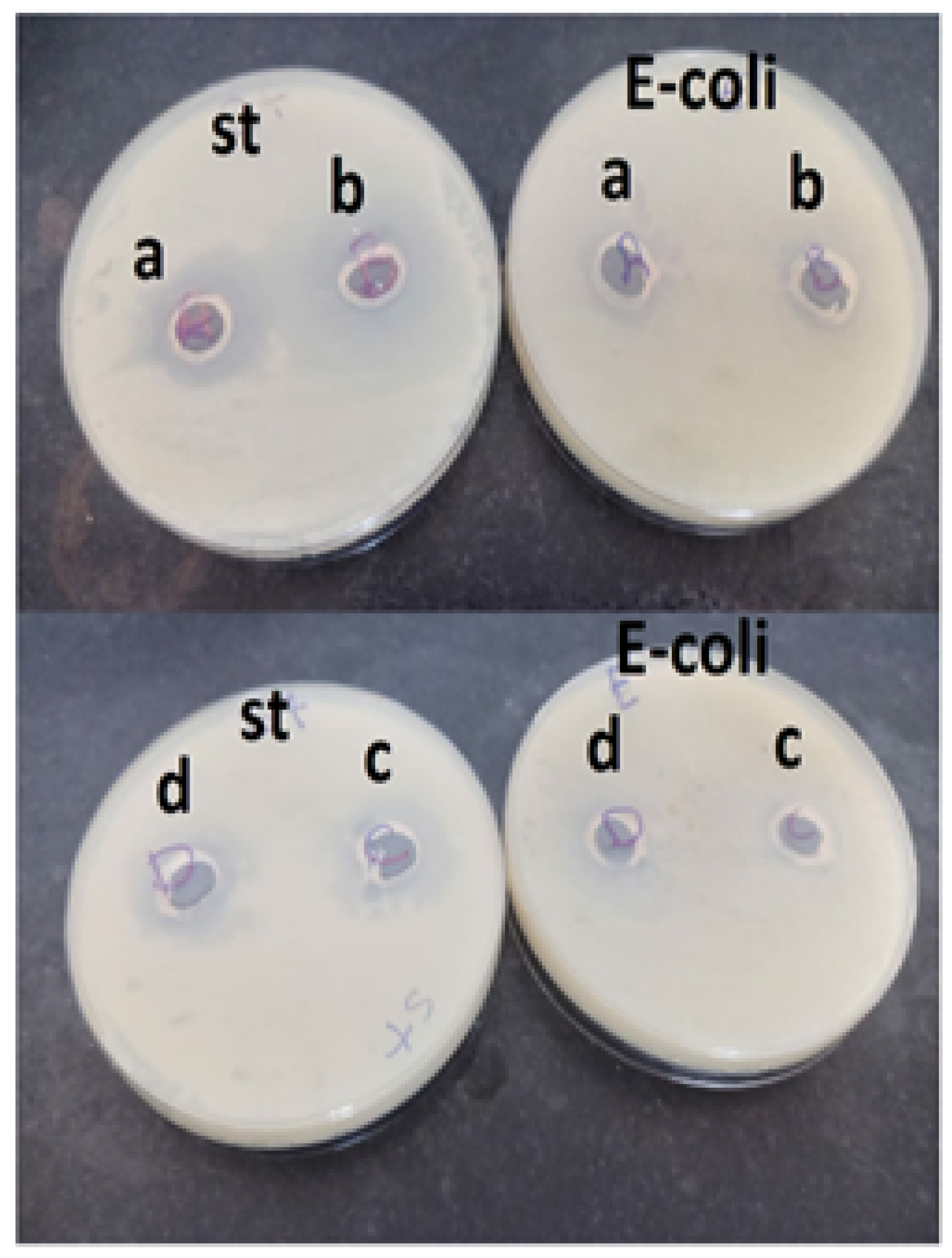 Engproc 59 00227 g011 Engproc 59 00227 g011