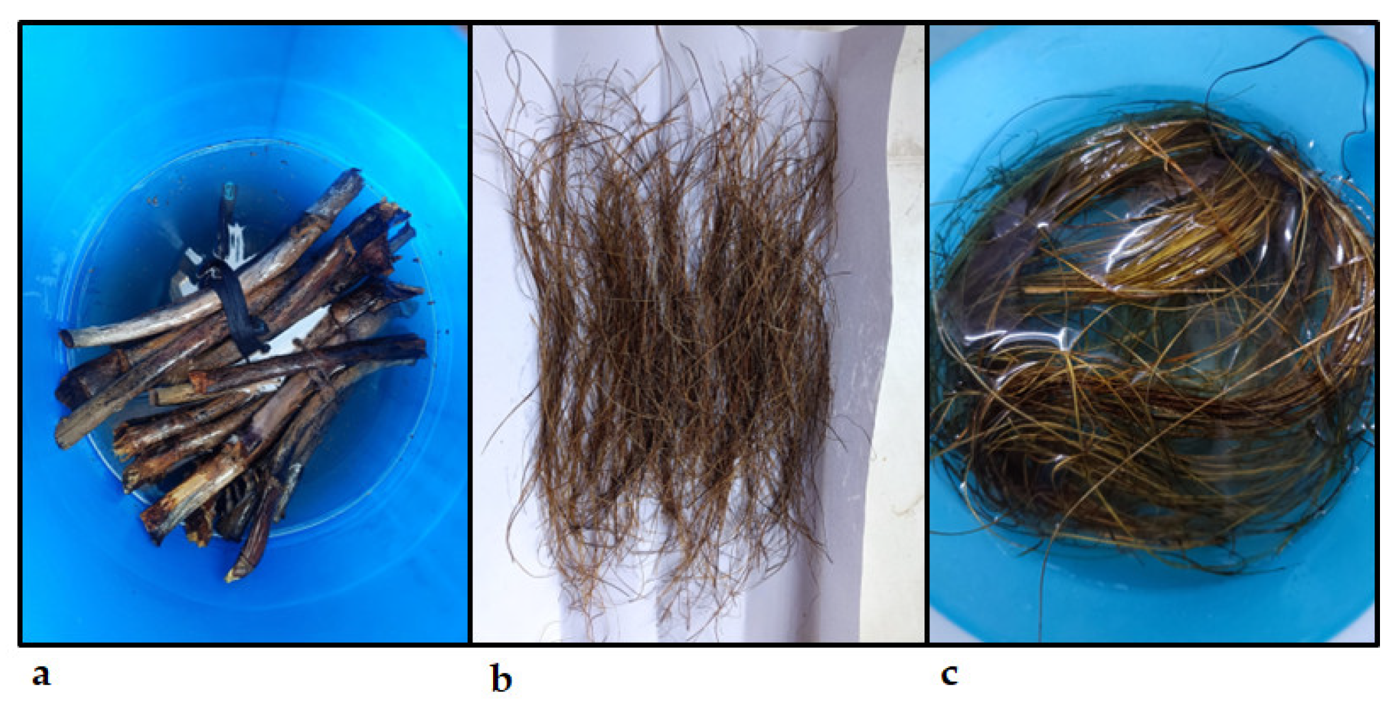 Engproc 59 00233 g001