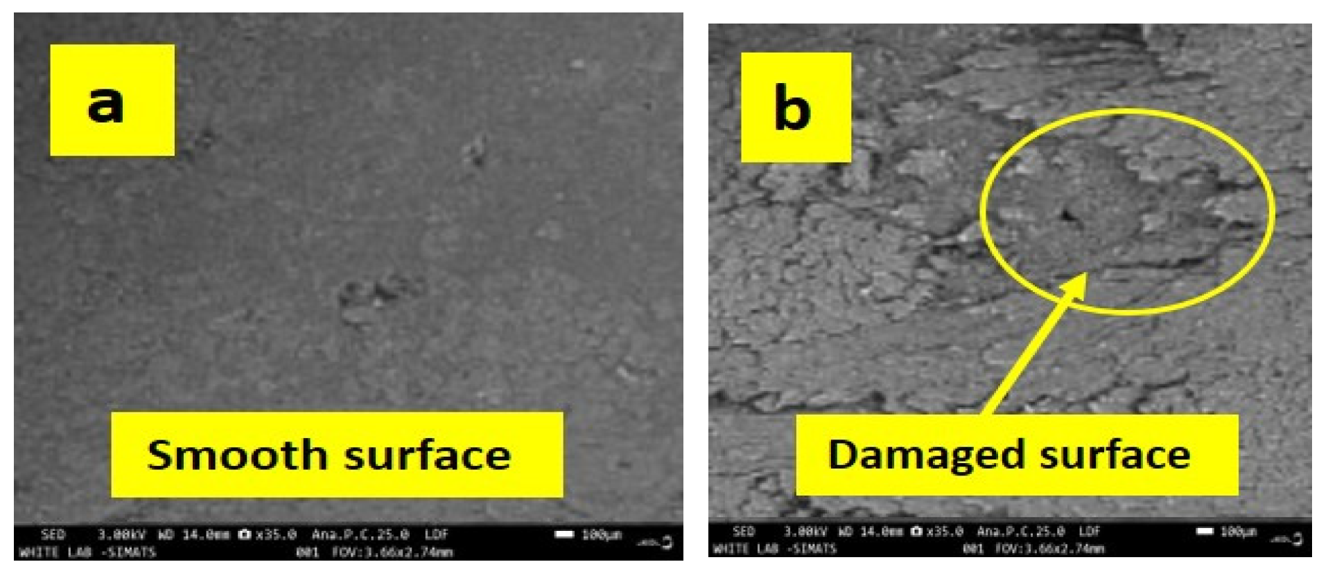 Engproc 61 00009 g005