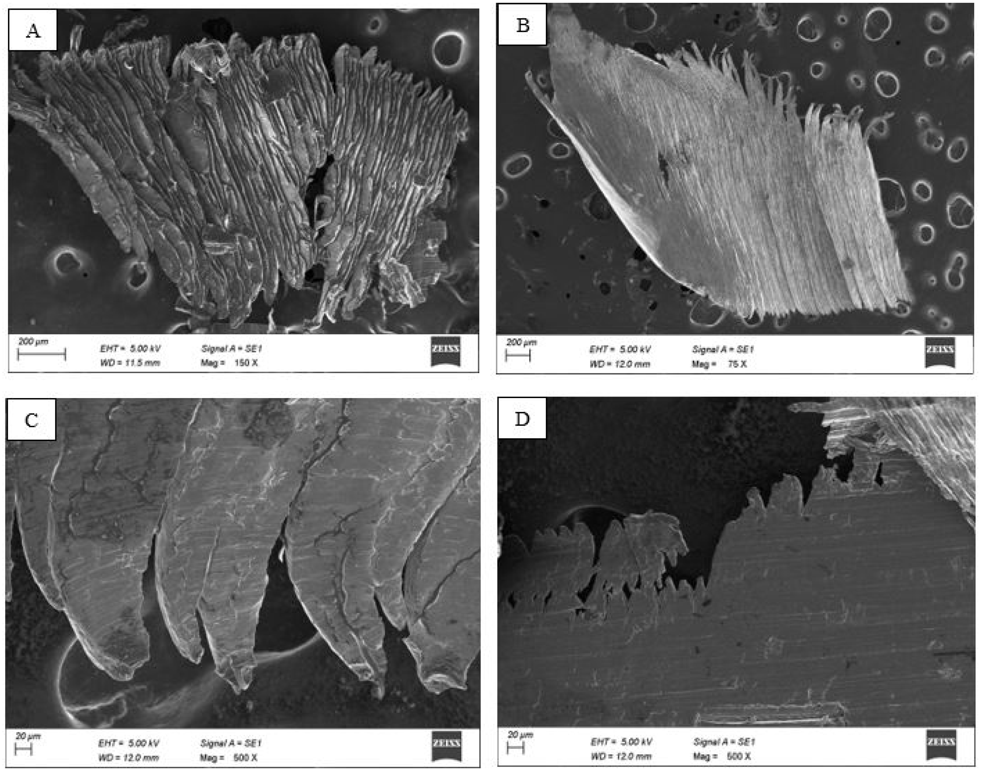 Engproc 61 00033 g004