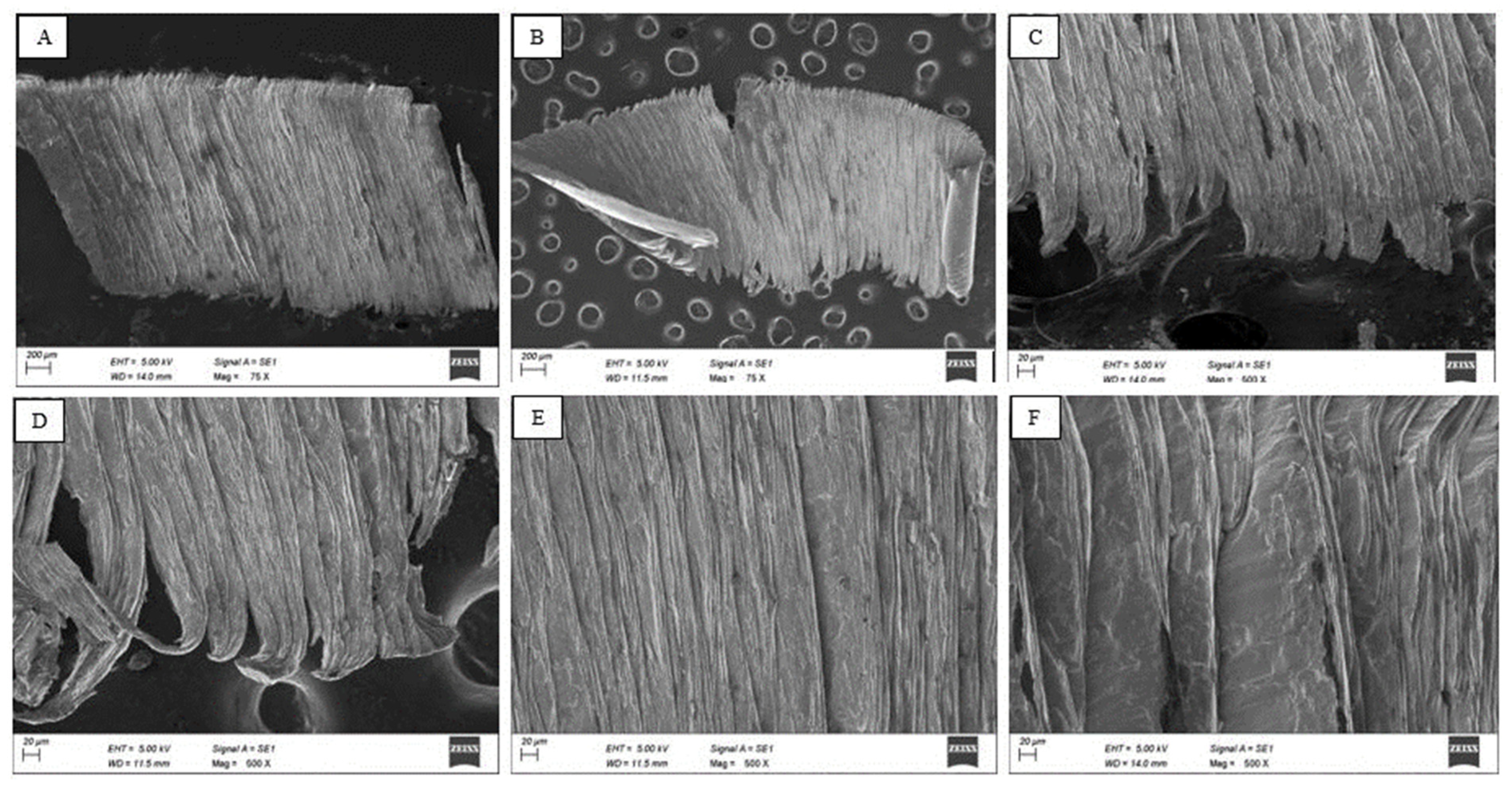 Engproc 61 00033 g005