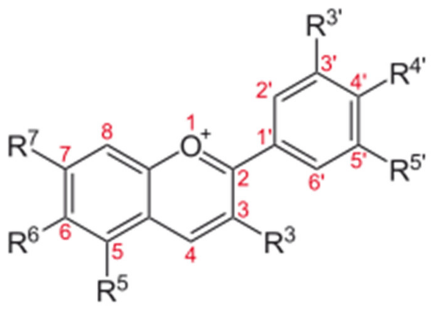Engproc 63 00025 g003