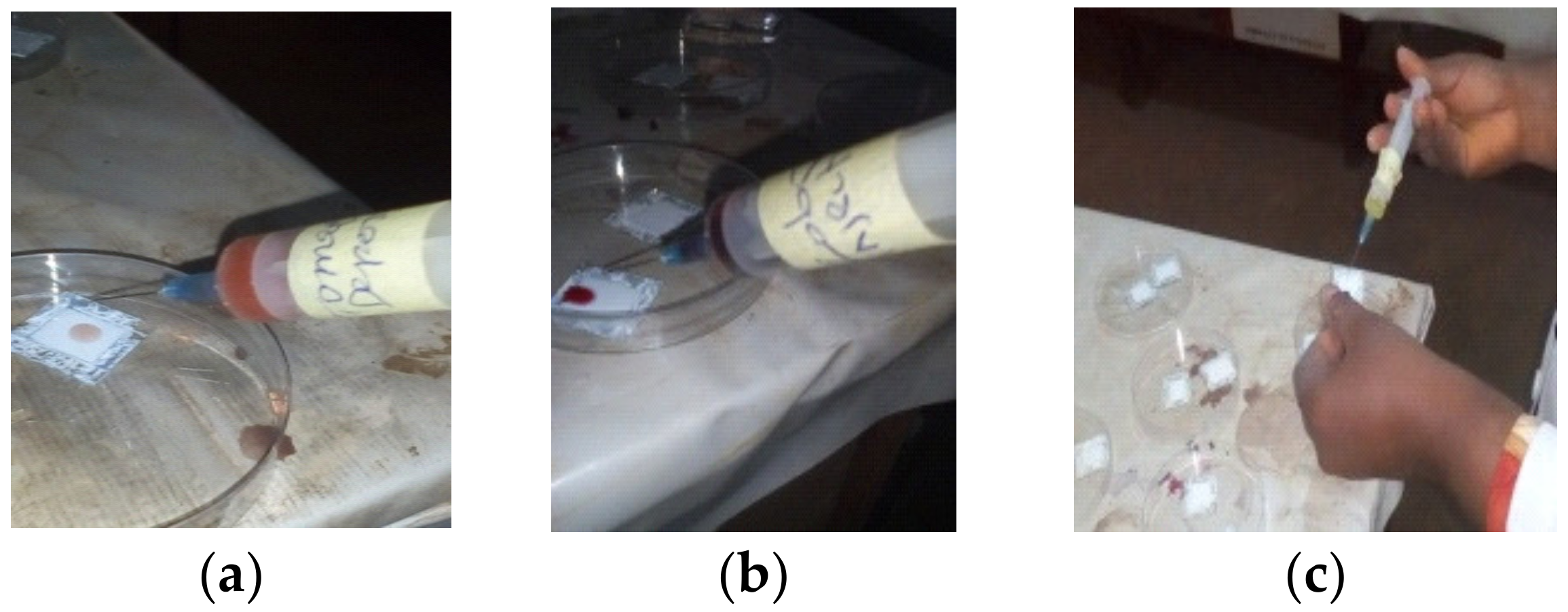 Engproc 63 00025 g007