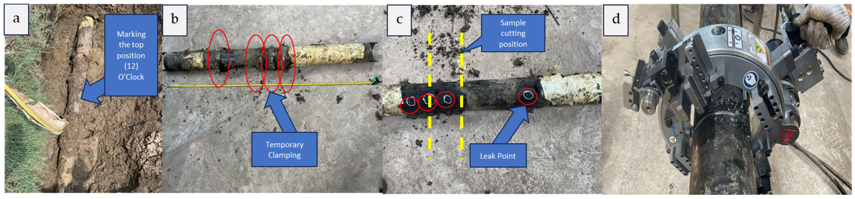 Engproc 63 00029 g005