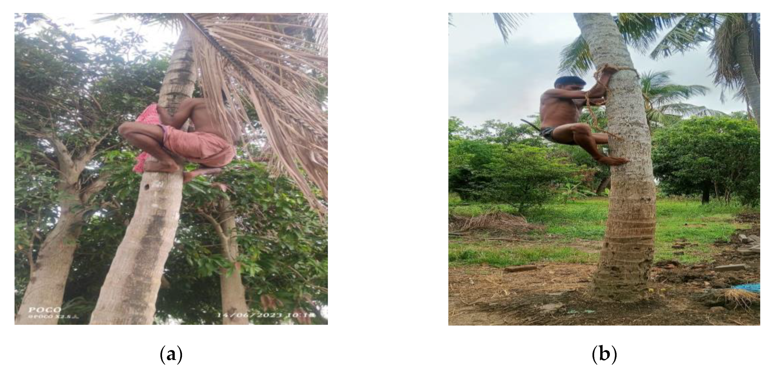 Engproc 66 00025 g001